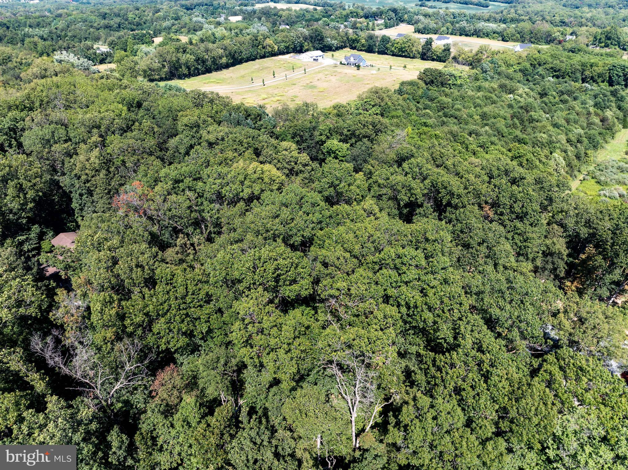 OAK TREE EAST - Residential