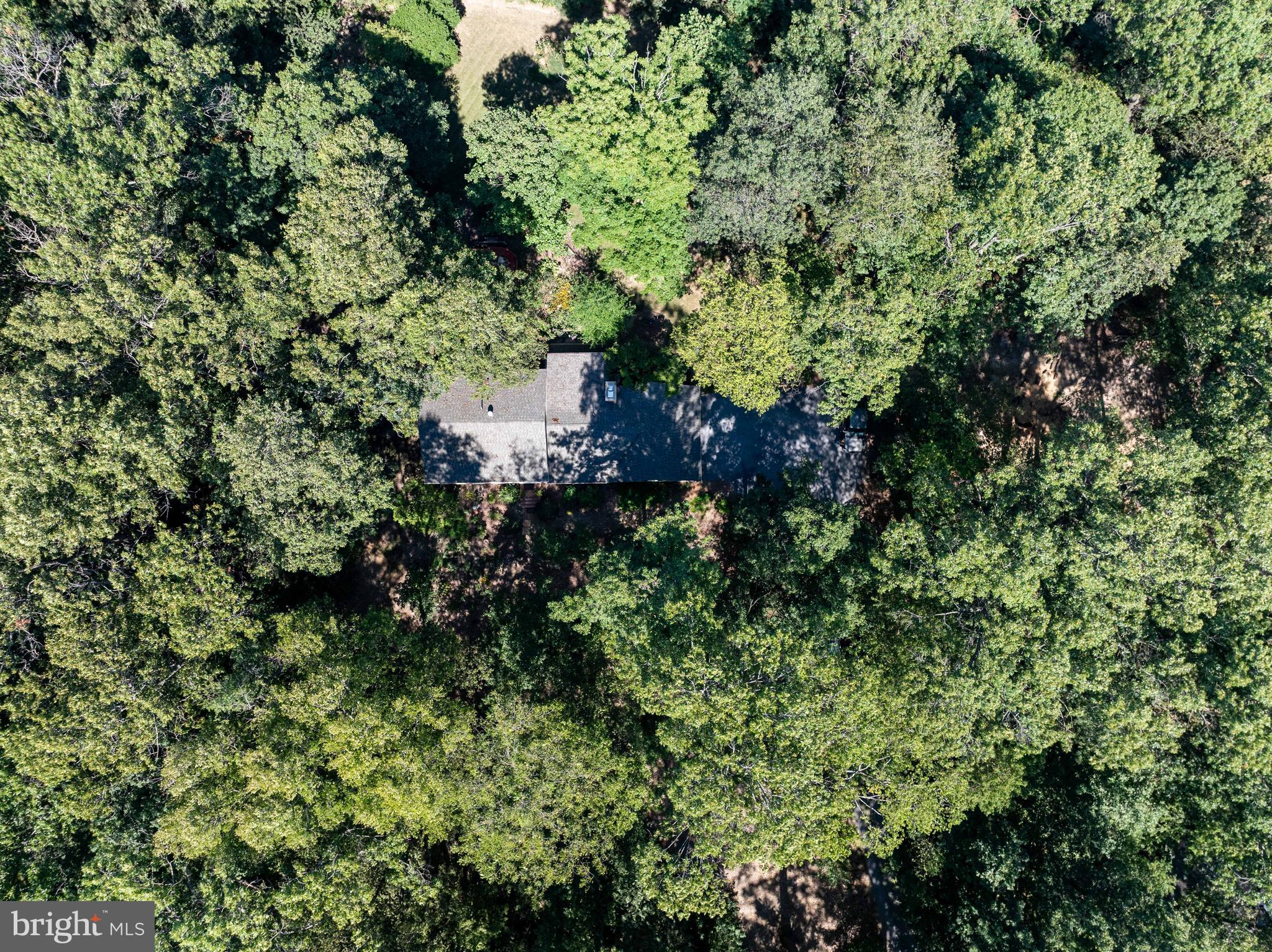 OAK TREE EAST - Residential