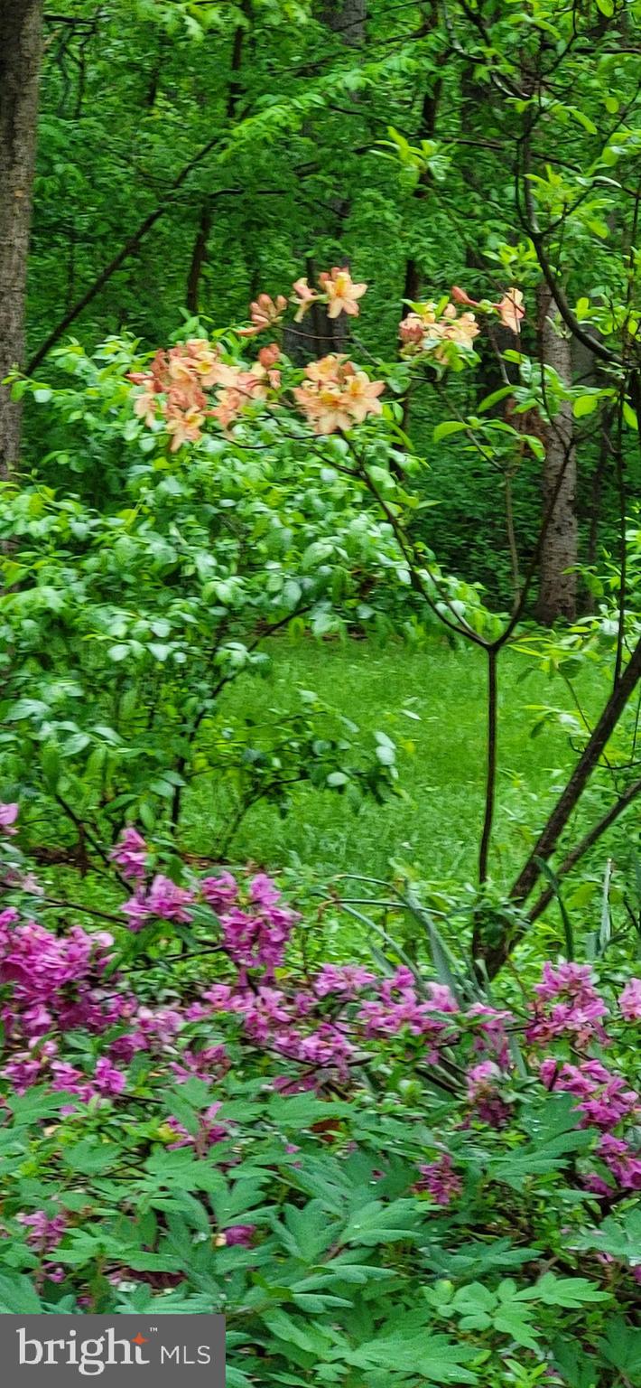 OAK TREE EAST - Residential