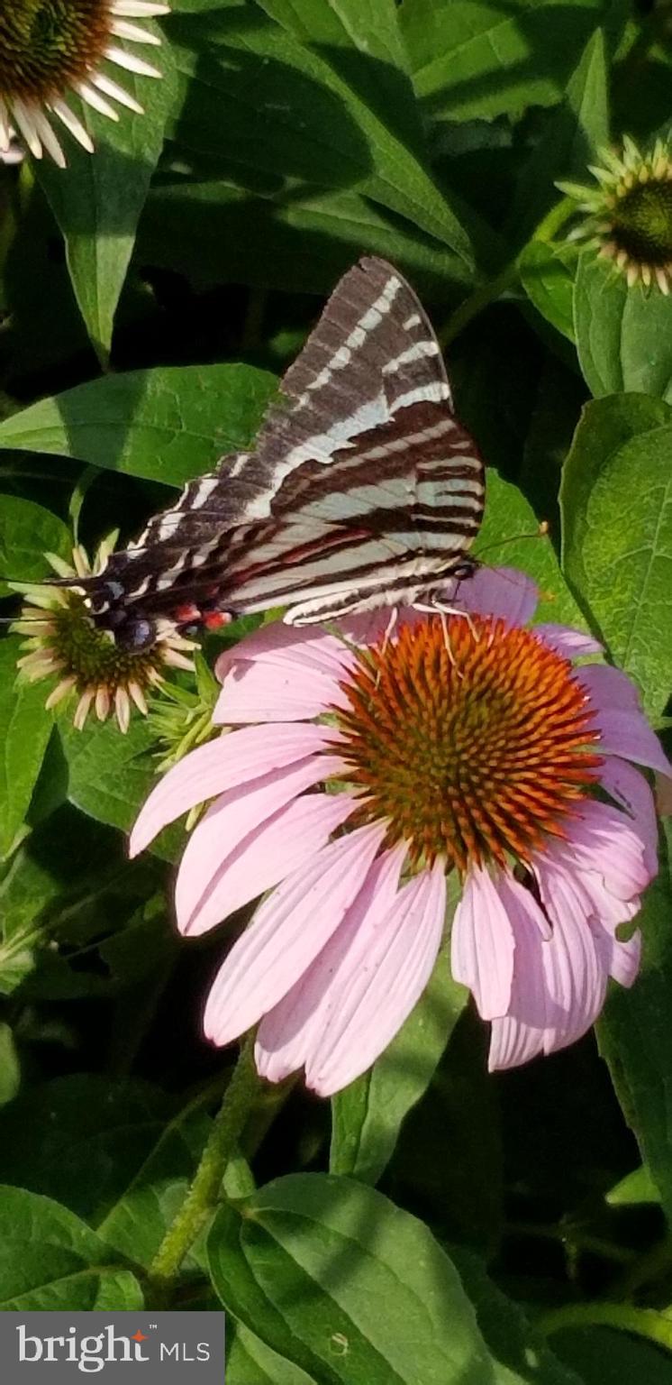 OAK TREE EAST - Residential