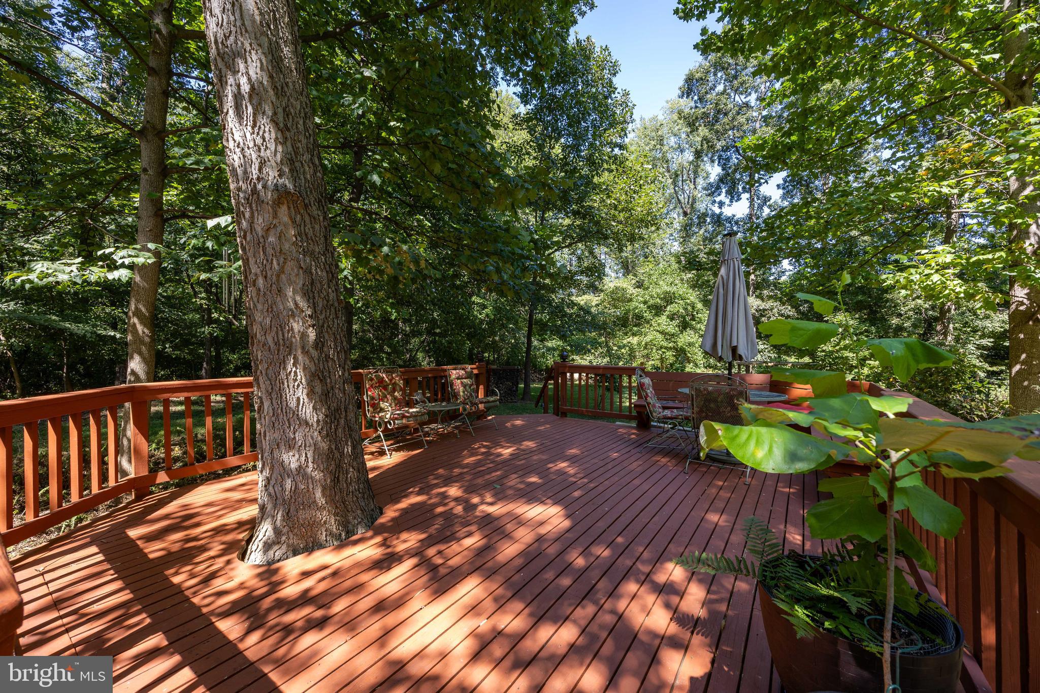 OAK TREE EAST - Residential