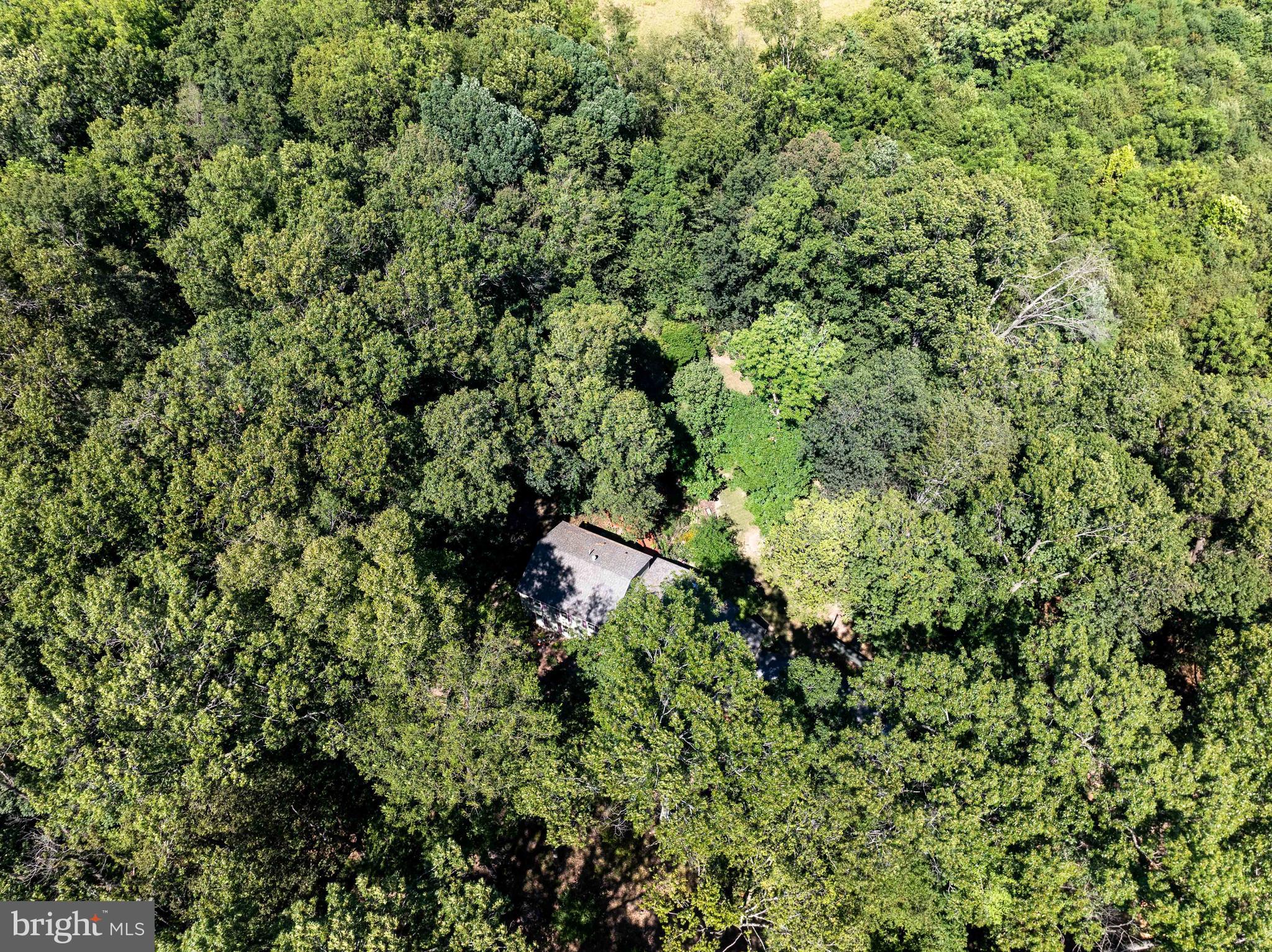 OAK TREE EAST - Residential