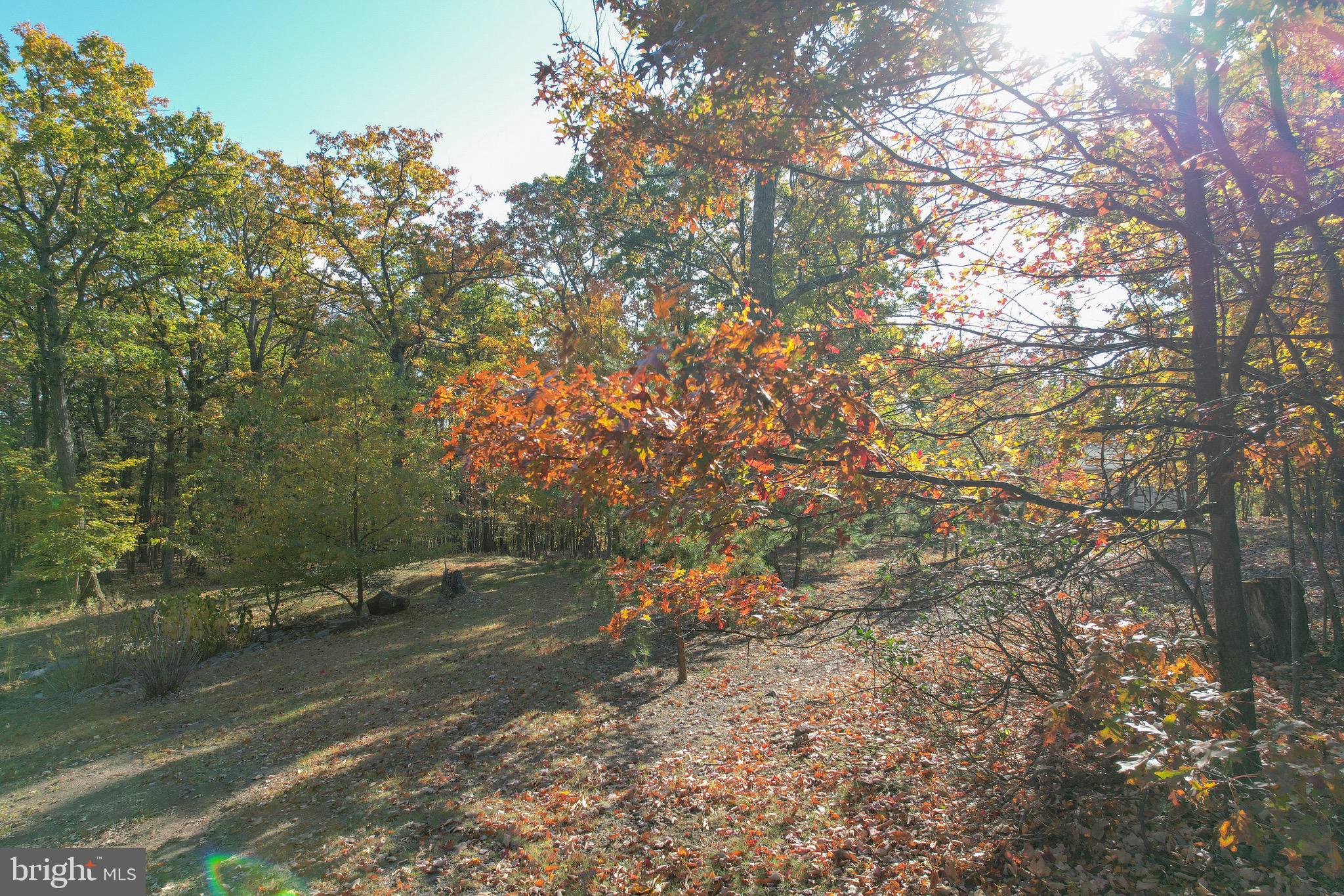 SLEEPY WOODS - Residential