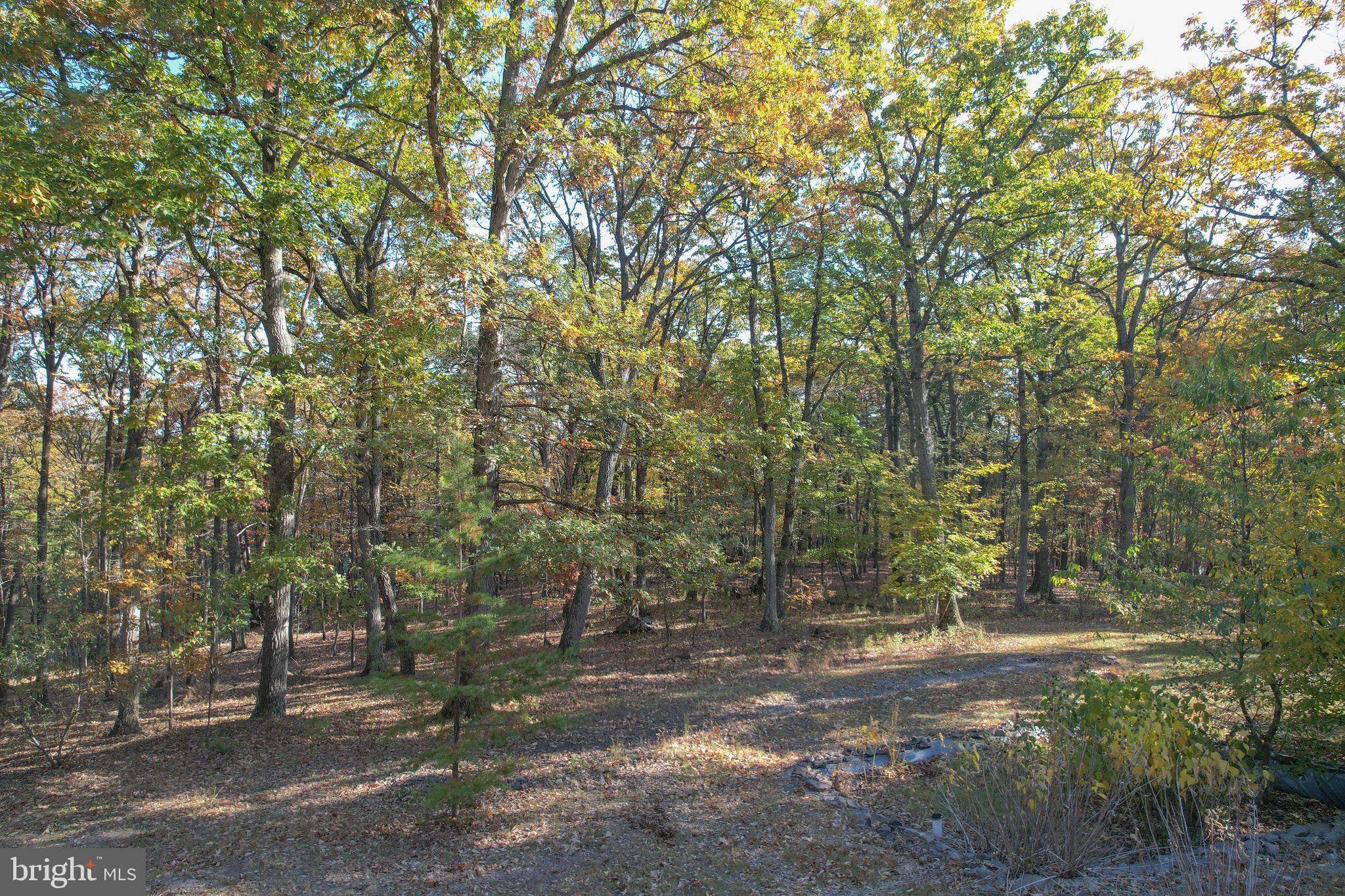 SLEEPY WOODS - Residential