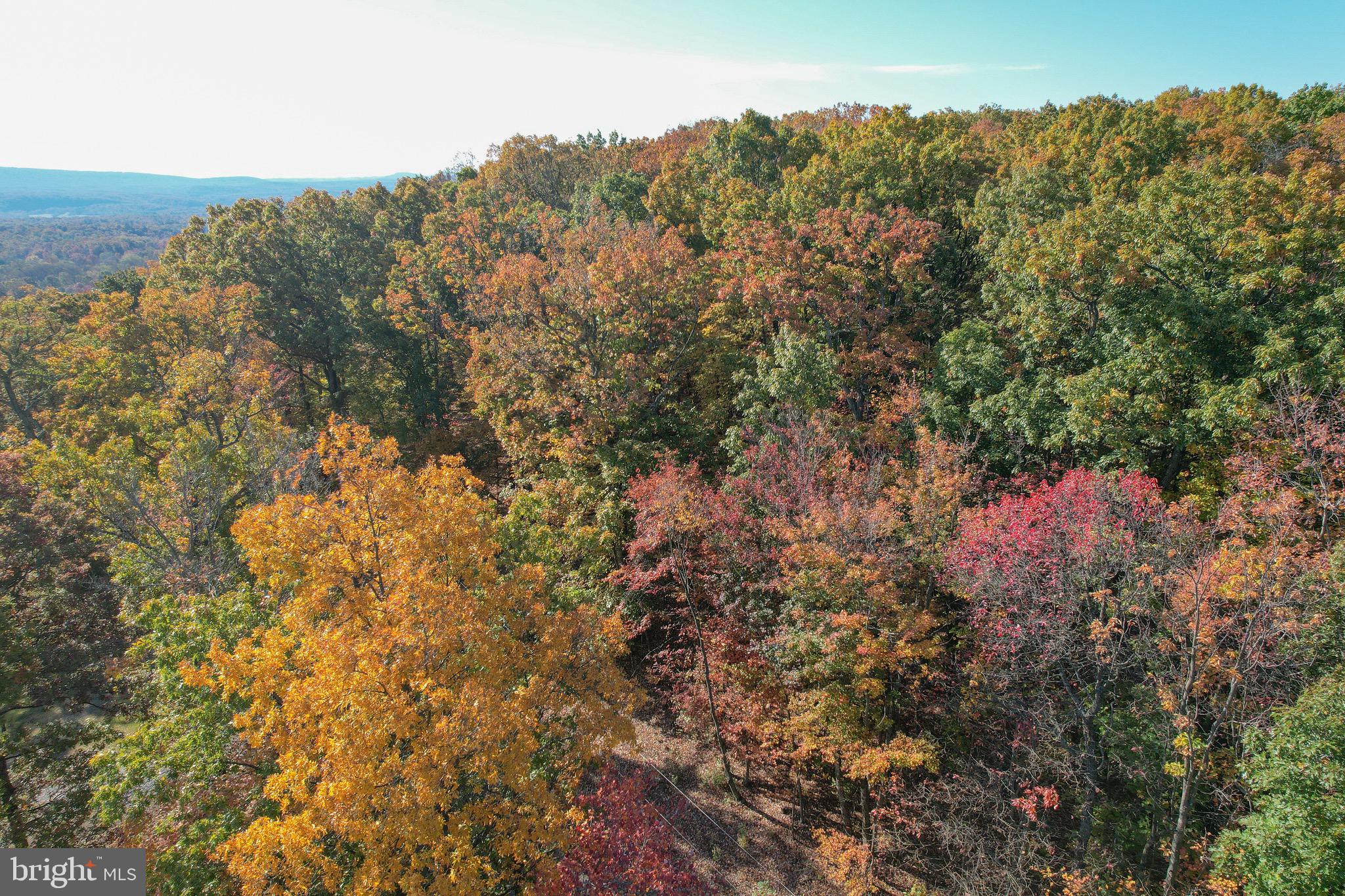 SLEEPY WOODS - Residential