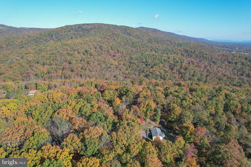 Welcome to 757 Pee Wee Lane! Have you been waiting for your private wooded retreat? Here is the one you've been looking for! With West Virginia living at its finest, you can grow your own food, have a gorgeous view from your brand new back deck made with Trex, and be steps away from Sleepy  Creek Wildlife Management Area spanning almost 23,000 acres for endless hiking, hunting, fishing, camping and nature enjoyment! This CHARMING 3 bedroom, 2 bathroom home is so fresh and move in ready with new paint, flooring, stainless appliances, brand new stove and all others appliances replaced within the past few years!  Soak in the gorgeous view from your kitchen sink, and large windows that span the entire front of the home. The home has a FULL unfinished walk out level basement, with a work bench, partially finished room, roughed in plumbing to add an extra bathroom if you wish, with washer and dryer conveying. Lots of parking space in the front of the home. Work from home? Starlink system is already installed, just start your own service! Enjoy the strawberry raised bed in the front of the home, blackberry bushes in the rear, as well as the elderberry trees, and fire pit area with bistro string lights. Four lots total this almost 5 acres,  keep it all, build on one, sell one, the opportunities are nearly endless!