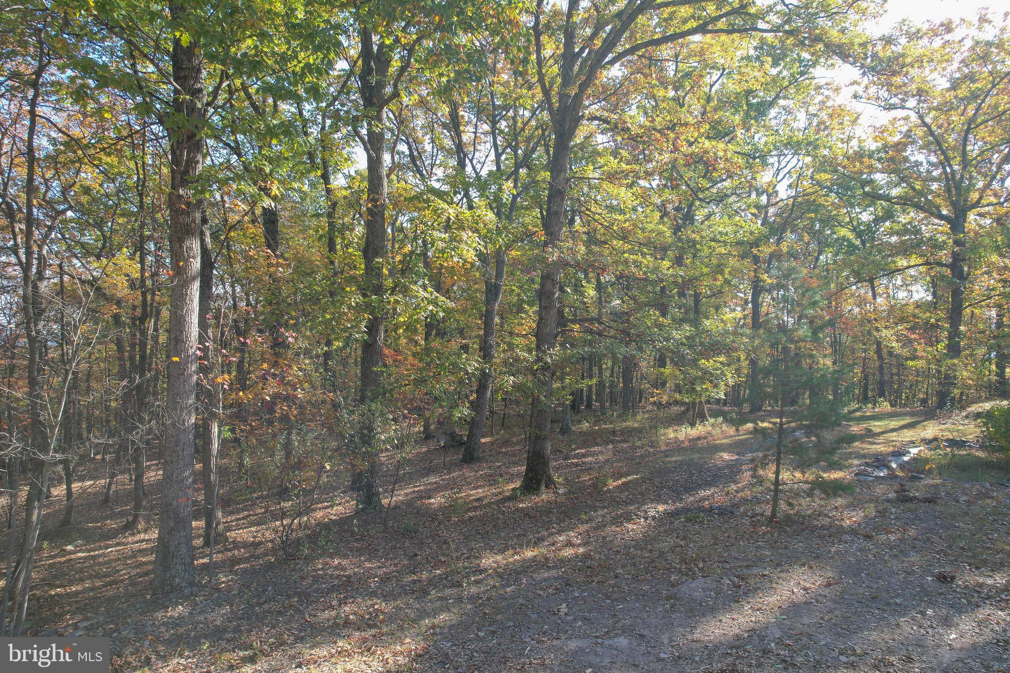 SLEEPY WOODS - Residential