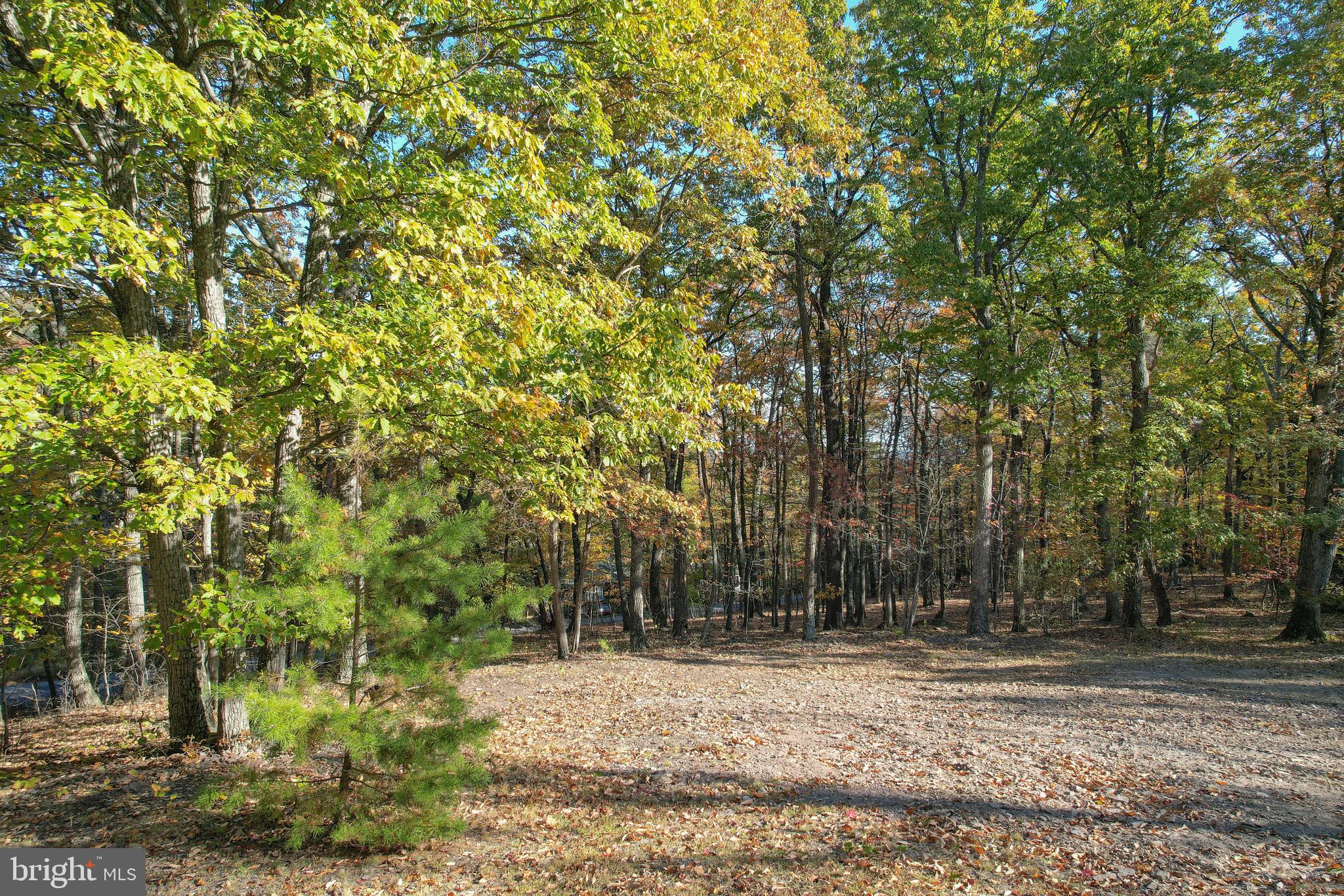 SLEEPY WOODS - Residential