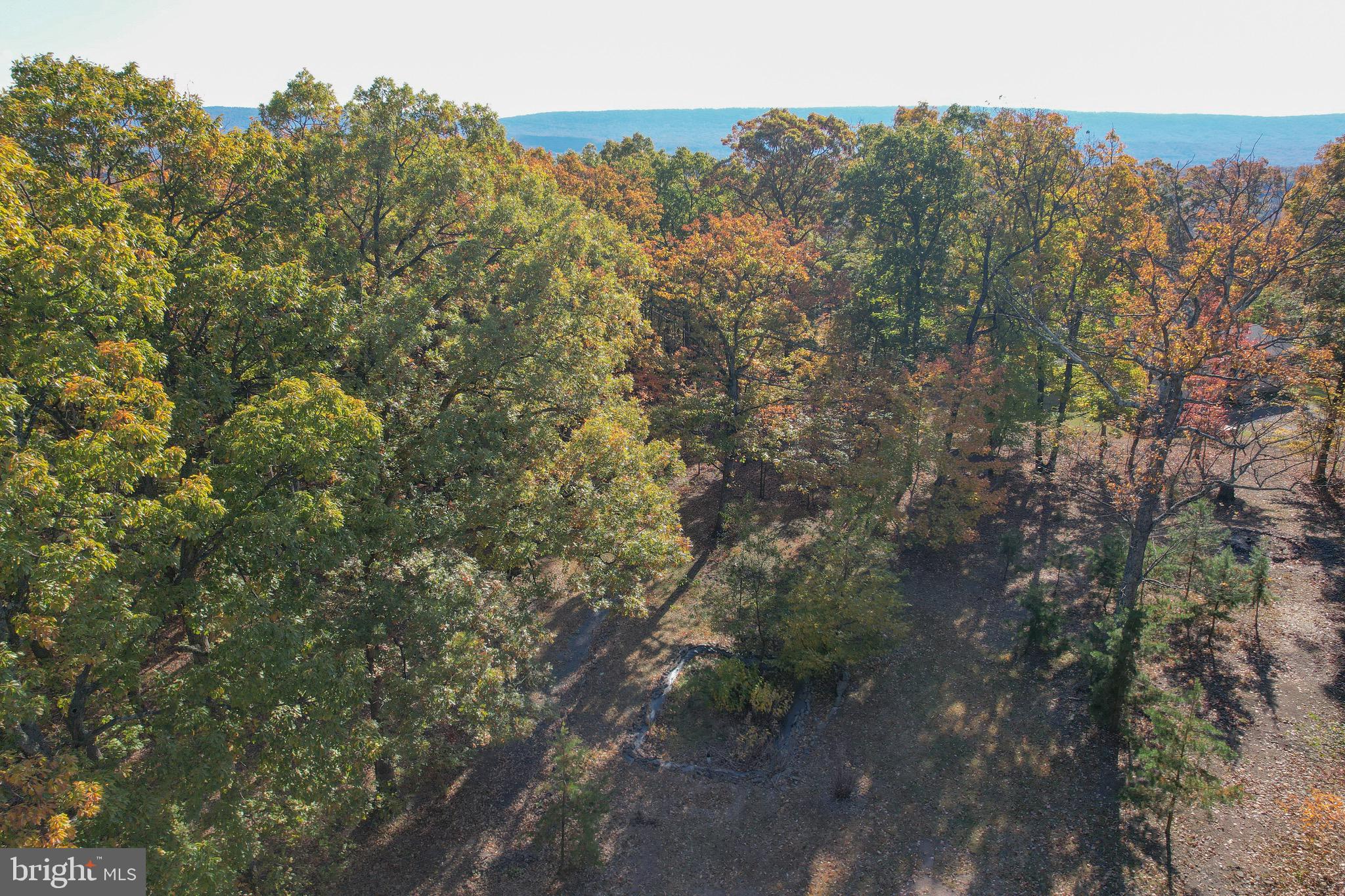 SLEEPY WOODS - Residential