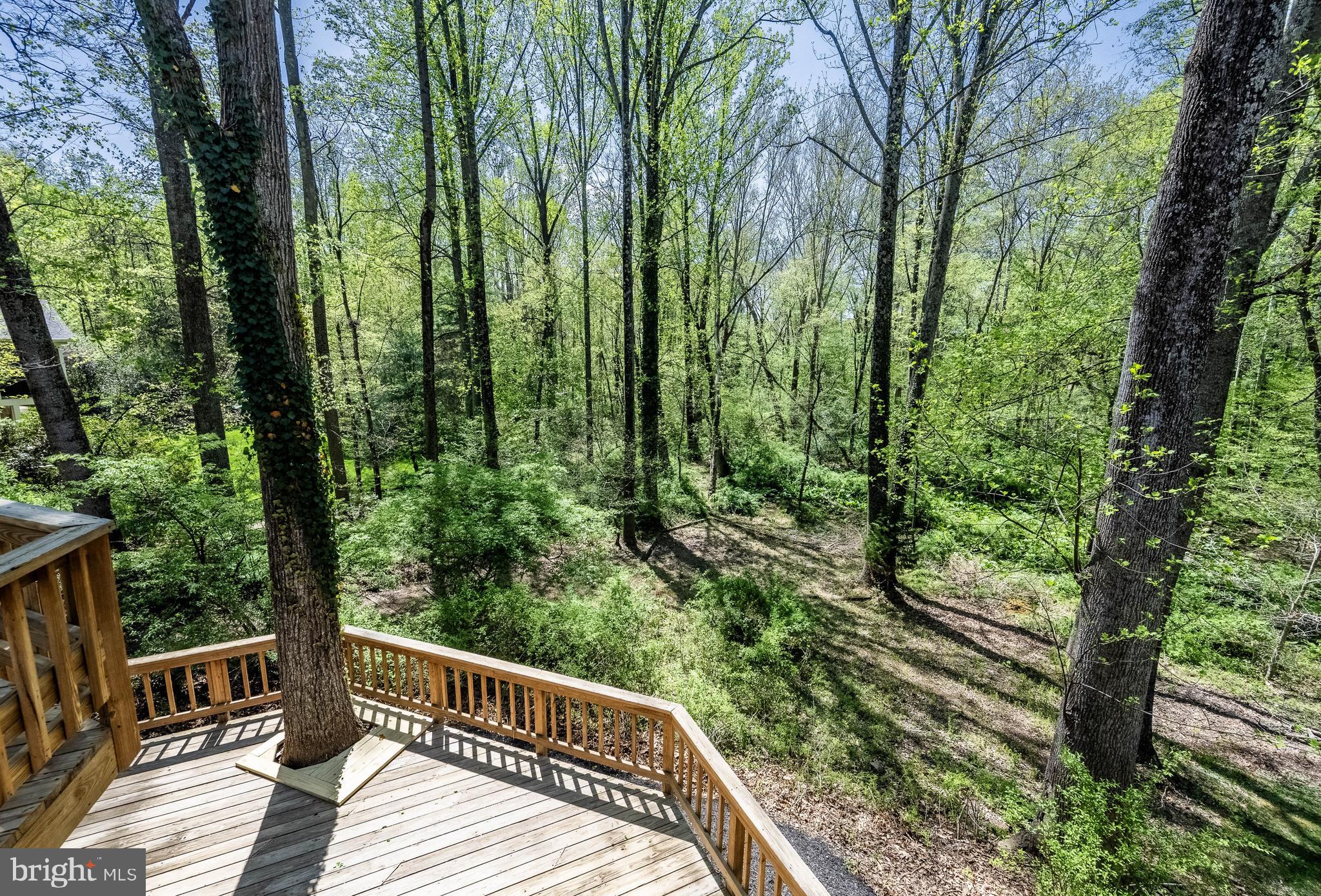 OAKTON MILL ESTATES - Residential