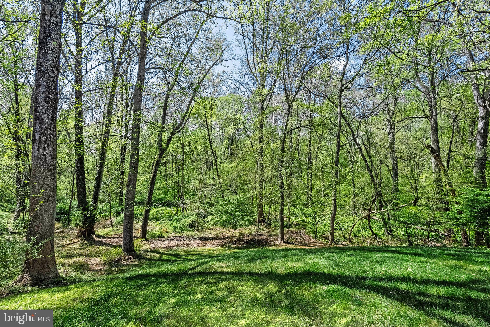 OAKTON MILL ESTATES - Residential