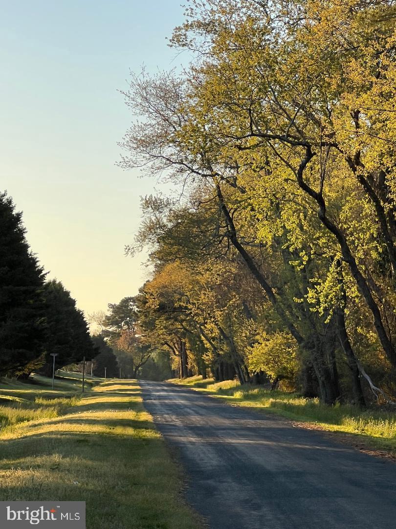 EAGLE SOUND ESTATE - Land