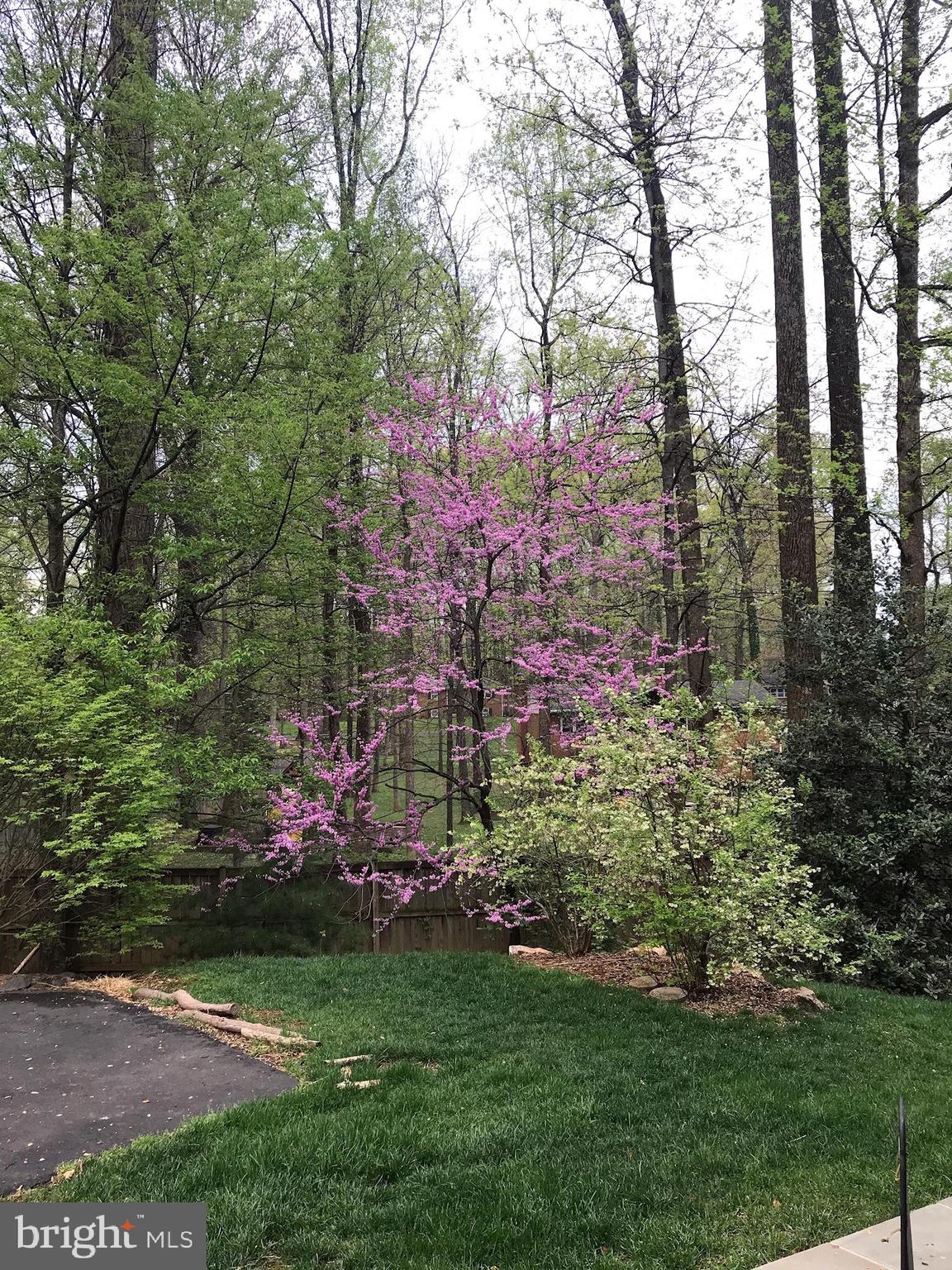 CANNON RIDGE - Residential