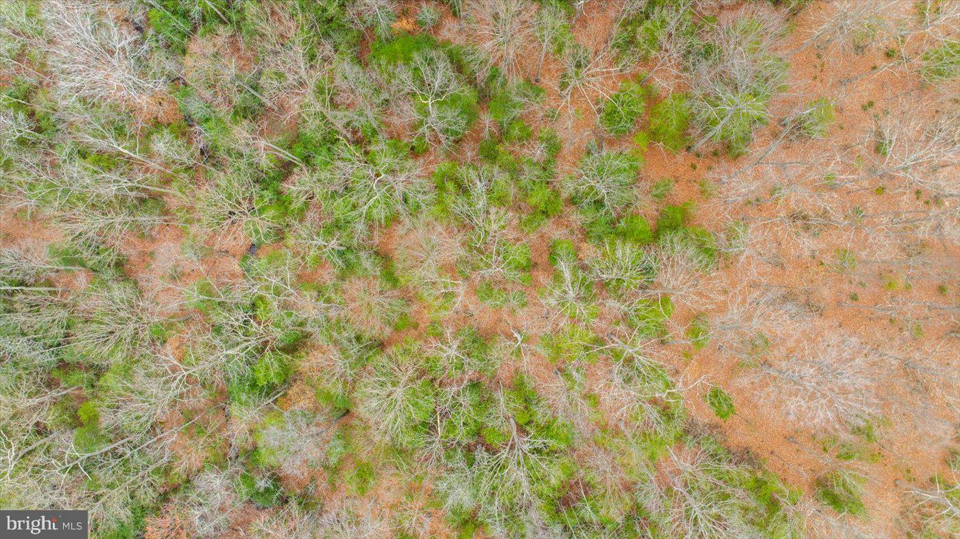 THE MEADOWS AT DAHLGREN - Residential