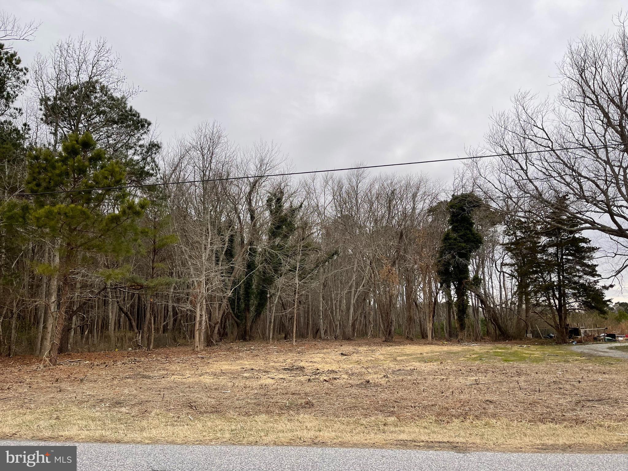 1.53 acres on Sinepuxent Road just off of Route 611.
The structure that previously occupied the lot has been demolished and the debris removed.
Both the well and the septic have been abandoned and capped.