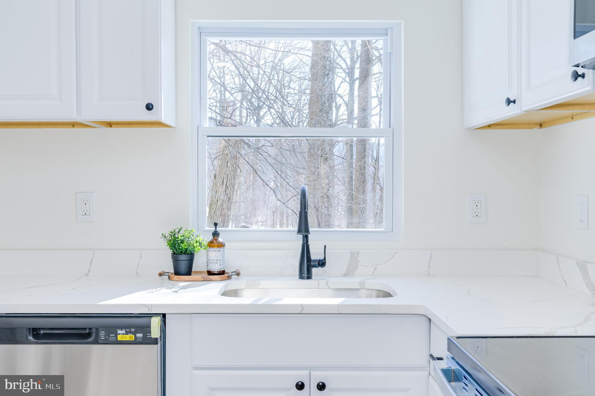 SHEN FARMS MT LAKE - Residential