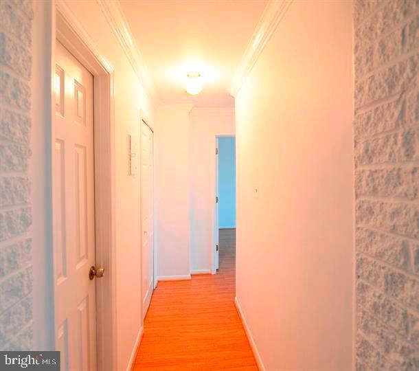 4345 IVYMOUNT COURT 42