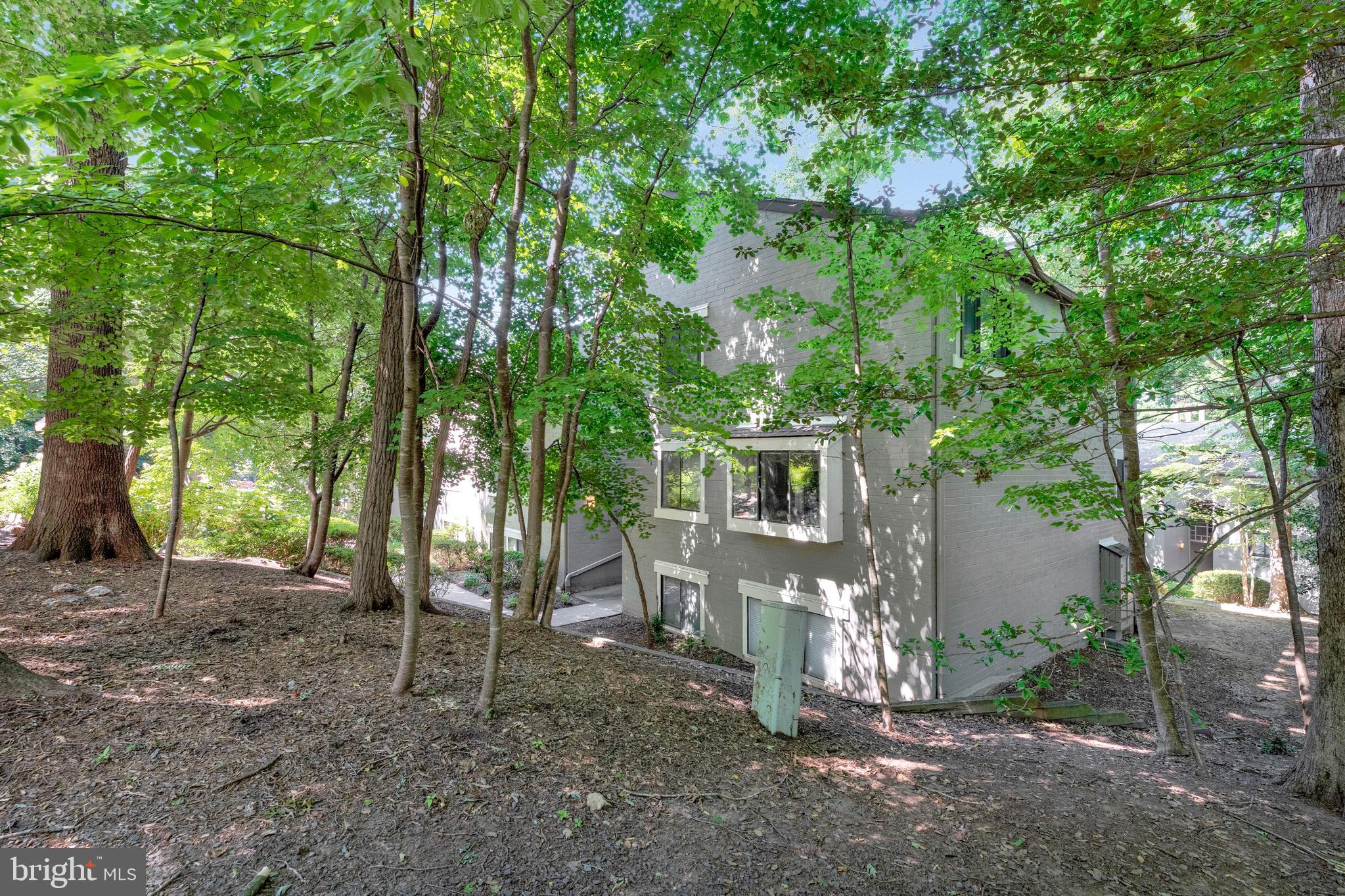 2210 SPRINGWOOD DRIVE 107