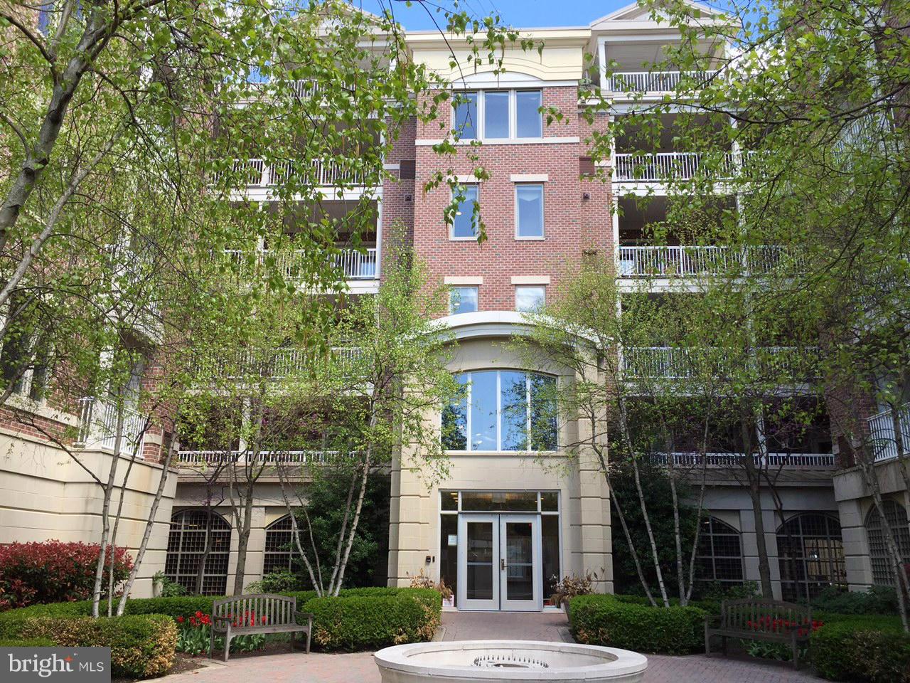 LAKESIDE TOWN CENTRE CONDOMINIUM - Residential Lease