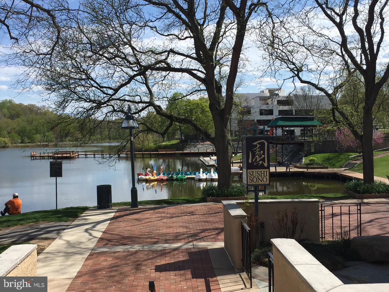 LAKESIDE TOWN CENTRE CONDOMINIUM - Residential Lease