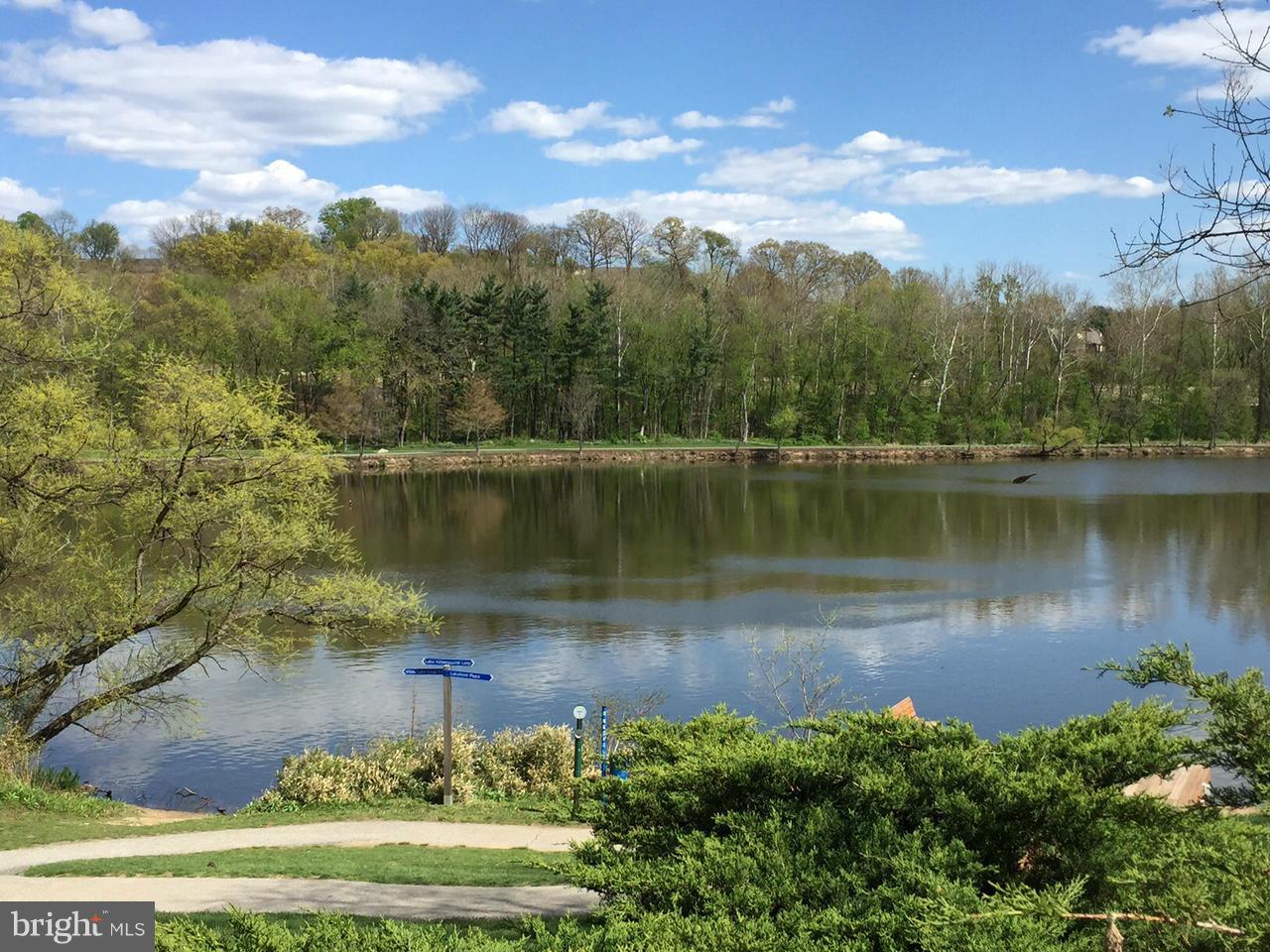 LAKESIDE TOWN CENTRE CONDOMINIUM - Residential Lease