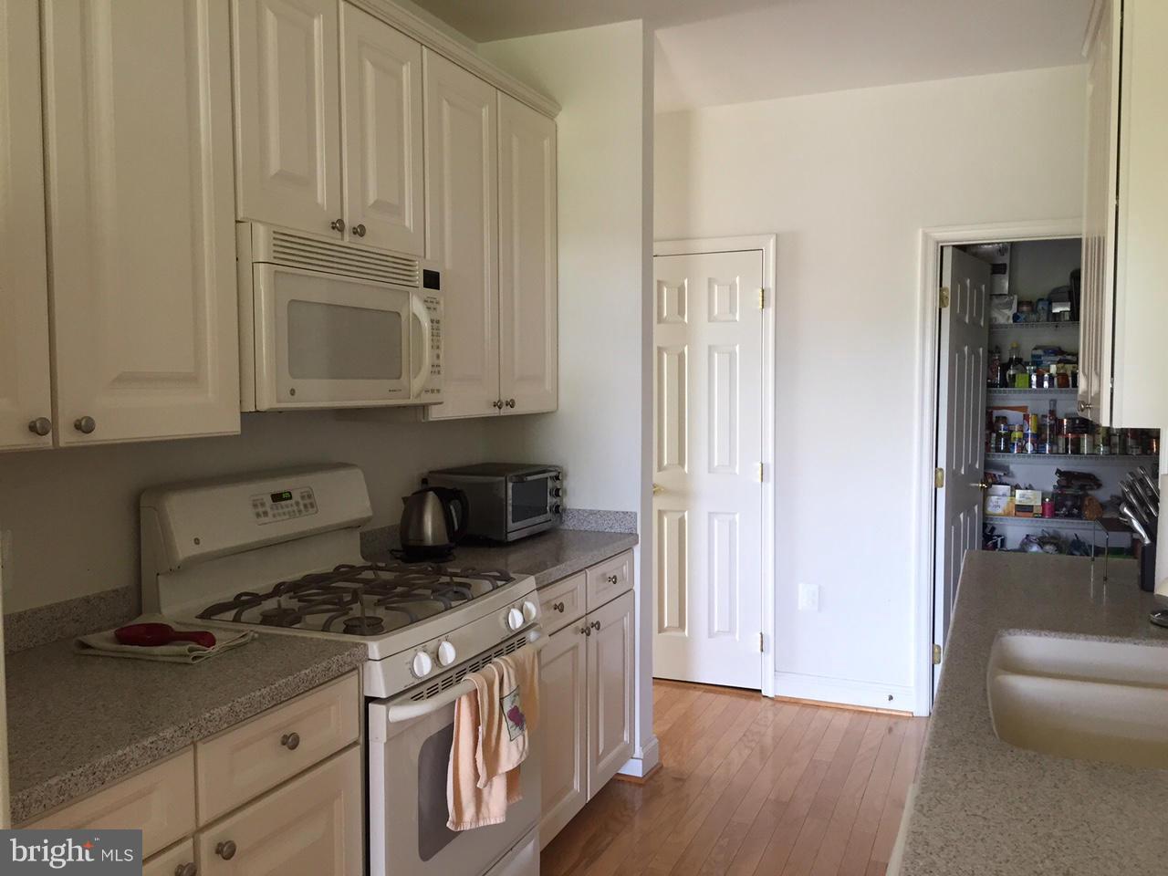 LAKESIDE TOWN CENTRE CONDOMINIUM - Residential Lease