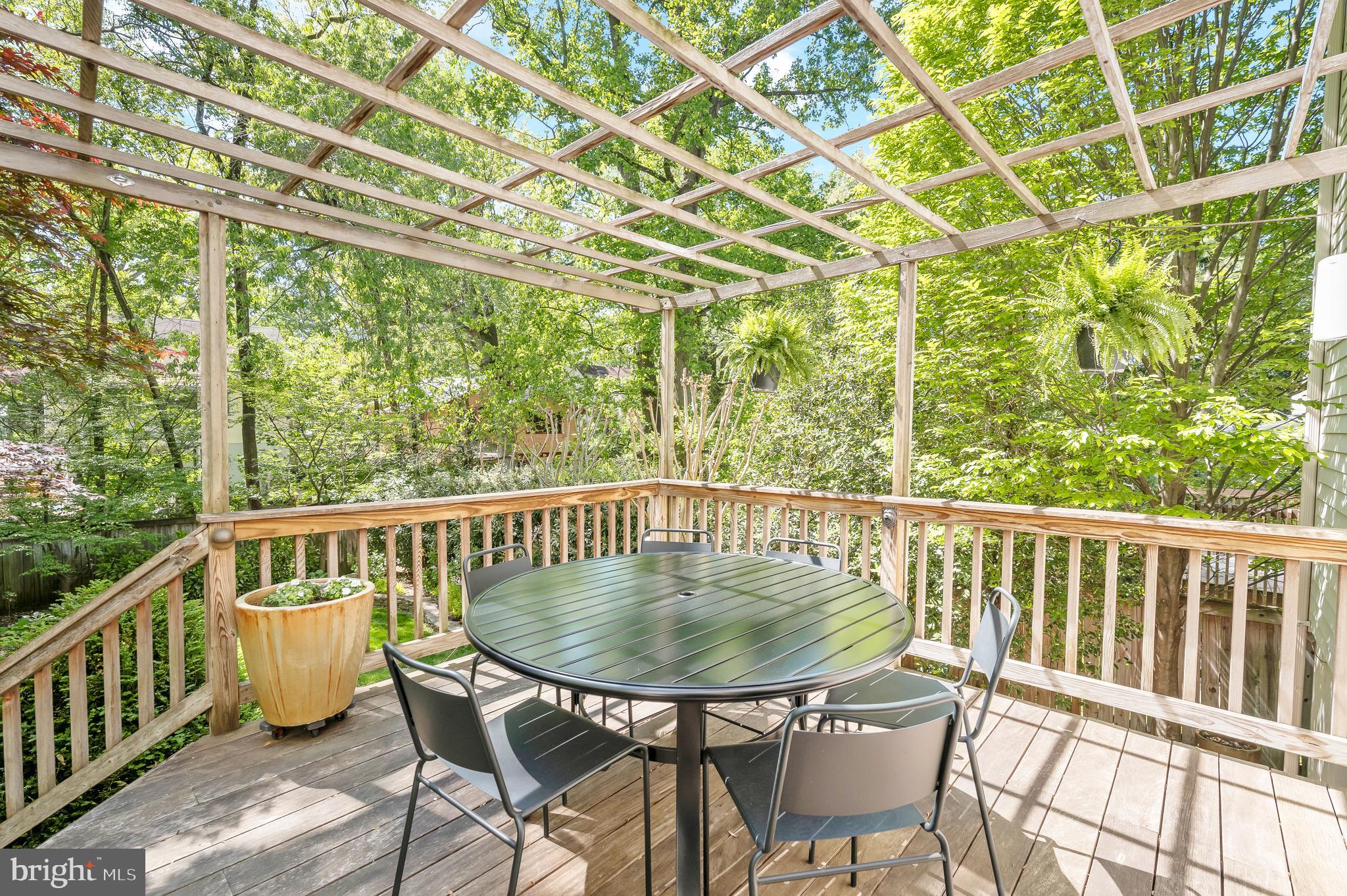 TAKOMA PARK - Residential
