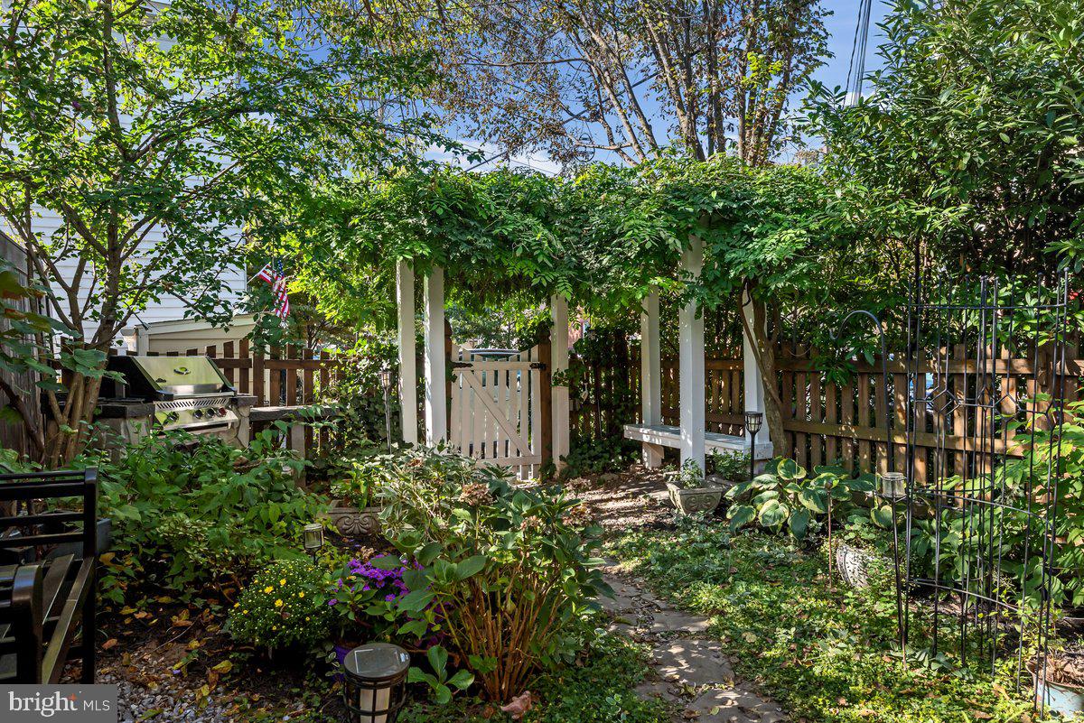 OLD TOWN ALEXANDRIA - Residential