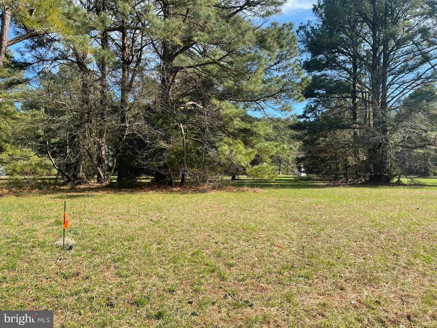 Great opportunity to own a level, slightly elevated homesite in the amenity-rich community of Captain’s Cove. Situated in a less densely developed section of the subdivision, this parcel offers added privacy while still providing full access to the community’s extensive amenities. The lot features an open, grass-covered setting with several mature pine trees, creating a park-like feel while still allowing for a straightforward build. Corners are already marked, and no wetlands are on record, further supporting ease of development.  Whether you’re ready to build now or secure a property for future use, this parcel offers flexibility and long-term value in a desirable coastal setting. Residents of Captain’s Cove enjoy access to pools, golf course, marina, boat ramp, fitness center, and more—making it an excellent option for a primary residence, second home, or investment property.