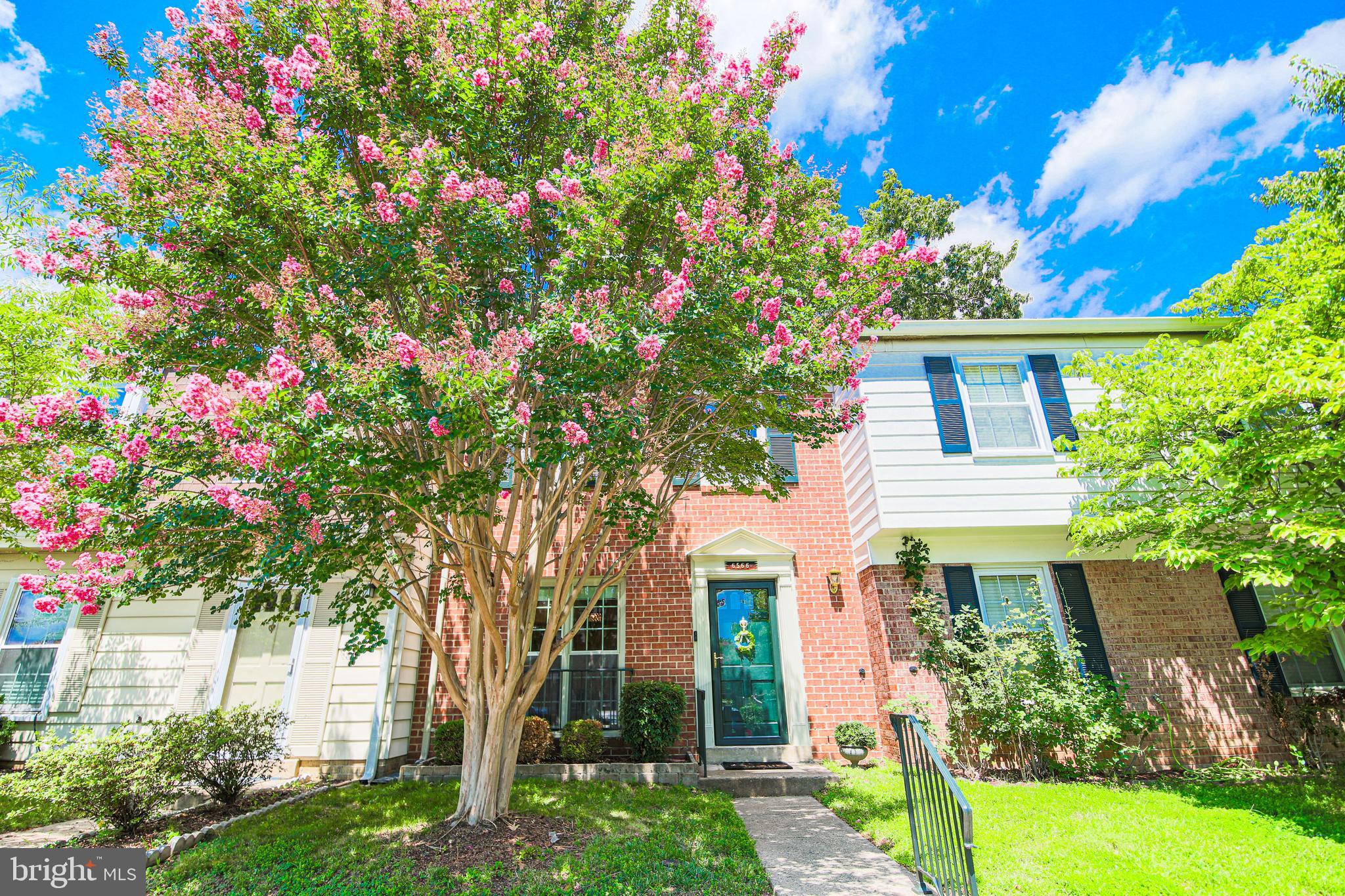 6566 YADKIN COURT