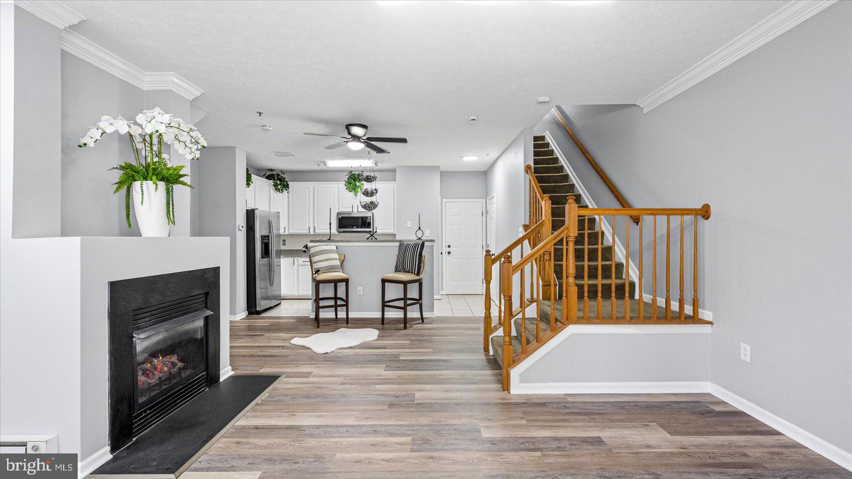 VILLAGE OF MILL RUN - Residential