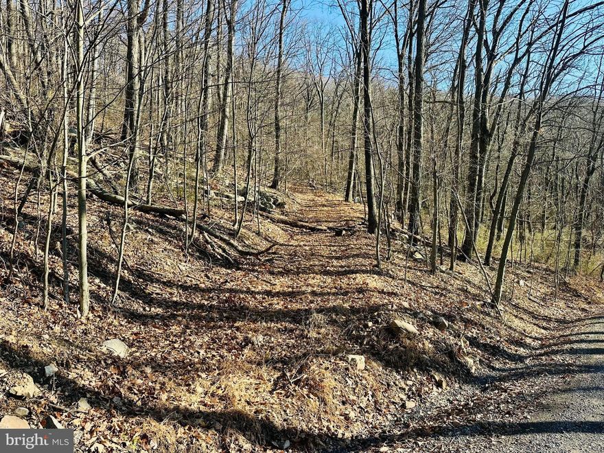 6+ Acres of Private Mountain Paradise – Views, Wildlife & Ready to Build! 
Discover the perfect blend of privacy, beauty, and convenience with over 6 acres of pristine mountain property nestled inside a secure, gated community. Whether you're dreaming of a custom mountain retreat, a peaceful cabin getaway, or a smart land investment, this property checks every box. The established driveway is a valuable head start that is a head start for easy access onto the property saving time and money. Nice mountain views offer unforgettable sunsets right from your future front porch. Power is conveniently available along the road frontage, making the building process smoother and more affordable. The gated community offers privacy, security to provide peace of mind. You will enjoy the abundant wildlife to include deer, turkey and other native wildlife that roam freely offering a true nature-lover’s paradise. 
Imagine morning coffee with mountain views, evenings by a fire pit under star-filled skies, and the soothing sounds of nature all around you. With mature trees, natural beauty, and ample room to roam, this property offers both seclusion and accessibility.
Perfect for a full-time residence, vacation getaway, or long-term investment.
Opportunities like this don’t come often — secure your slice of mountain serenity today!
Contact us now to schedule your private tour and start building the mountain lifestyle you’ve been dreaming of.
There are adjacent lots that are also for sale for extra acreage.