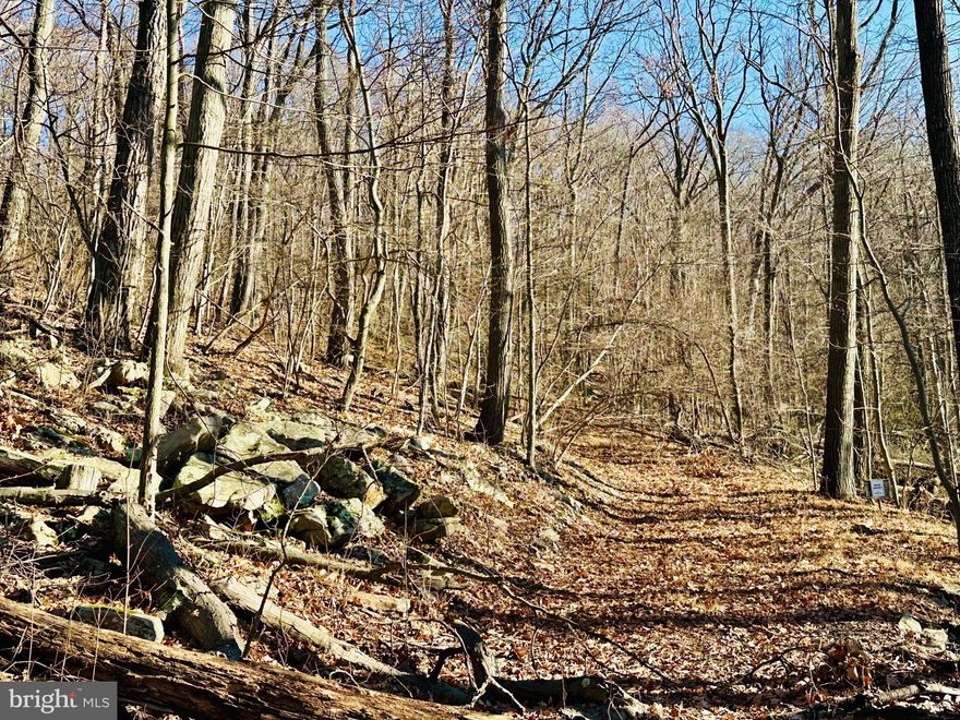 6+ Acres of Private Mountain Paradise – Views, Wildlife & Ready to Build or vacation with a  camper that already has an Electric pole and meter on site! 
Discover the perfect blend of privacy, beauty, and convenience with over 6 acres of pristine mountain property nestled inside a secure, gated community. Whether you're dreaming of a custom mountain retreat, a peaceful cabin getaway, or a smart land investment, this property checks every box. The established driveway is a valuable head start that is a head start for easy access onto the property saving time and money. Nice mountain views offer unforgettable sunsets right from your future front porch. Power is conveniently available along the road frontage, making the building process smoother and more affordable. The gated community offers privacy, security to provide peace of mind. You will enjoy the abundant wildlife to include deer, turkey and other native wildlife that roam freely offering a true nature-lover’s paradise. 
Imagine morning coffee with mountain views, evenings by a fire pit under star-filled skies, and the soothing sounds of nature all around you. With mature trees, natural beauty, and ample room to roam, this property offers both seclusion and accessibility.
Perfect for a full-time residence, vacation getaway, or long-term investment.
Opportunities like this don’t come often — secure your slice of mountain serenity today!
Contact us now to schedule your private tour and start building the mountain lifestyle you’ve been dreaming of.
There are adjacent lots that are also for sale for extra acreage.