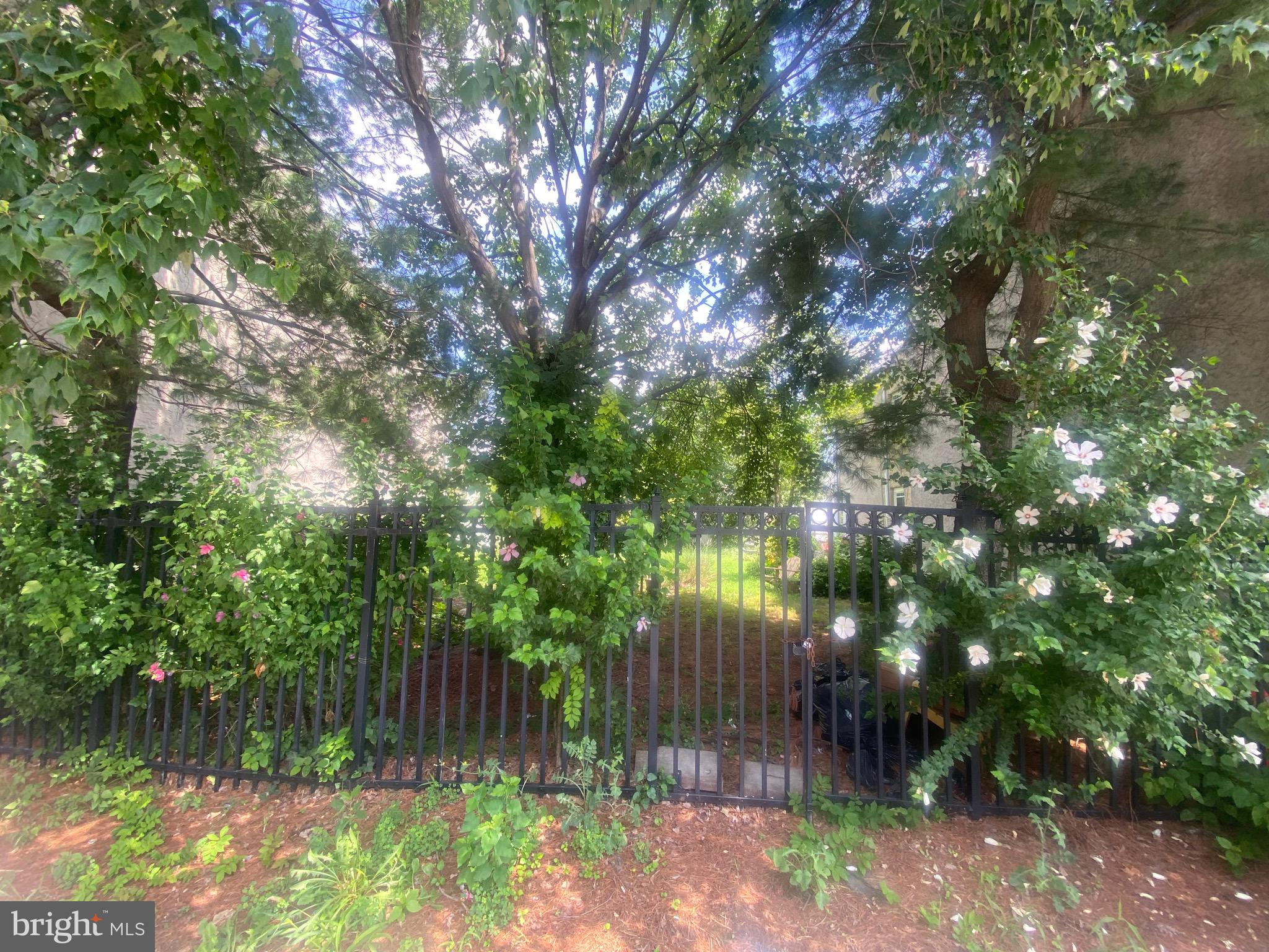 331 VINE STREET