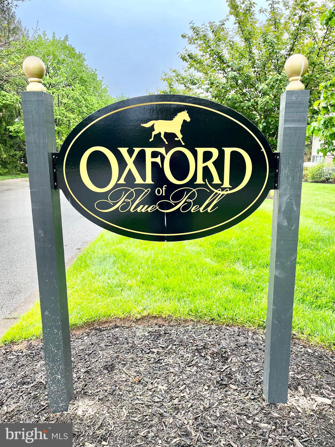 Welcome to Oxford at Blue Bell - a wonderful place to call home. It's a quiet community yet filled with amenities to keep the outdoor enthusiast entertained. This one bedroom first floor garden style condo is fully updated and ready for its new owners. A foyer entrance leads to a spacious open floor plan encompassing the living room, dining room and kitchen with full size laundry closet. The covered patio with its large outdoor storage closet sits just off the living room. Tucked in the rear of the condo is an oversized bedroom with walk in closet. The hall bathroom is spacious and conveniently opens into both the hall and the bedroom. Want even more storage? - there is another large walk in storage closet in the hallway. This home has been well maintained with new flooring throughout, fresh paint, and new washing machine, bathtub and toilet. This unit is situated close to the community outdoor pool, basketball & tennis courts, playground and picnic grove. Also, you can enjoy the nearby paved walking trails, ponds, dog park and fitness center. Located in the award winning Wissahickon School District, this sought after community is near to major highways, shopping, and restaurants. Enjoy the carefree living that Oxford of Blue Bell provides!