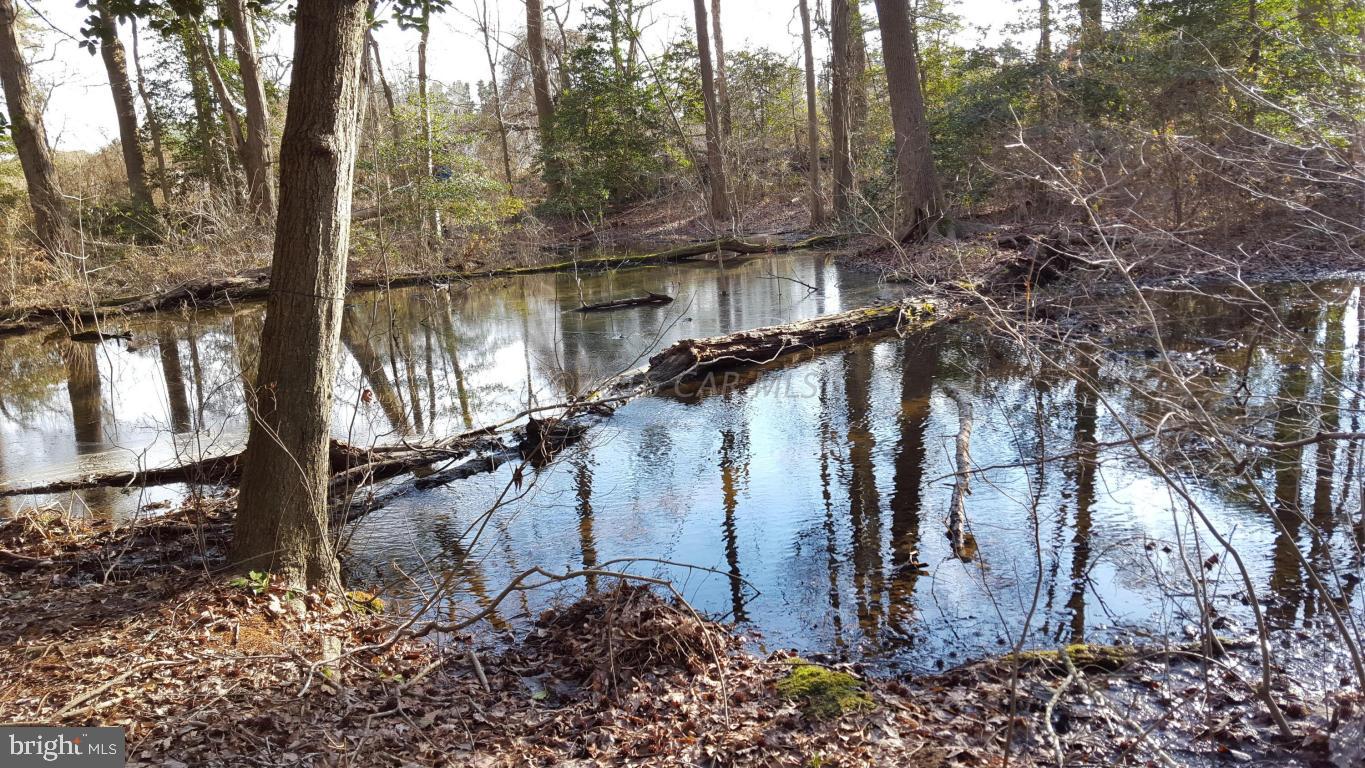 CENTENNIAL VILLAGE - Residential