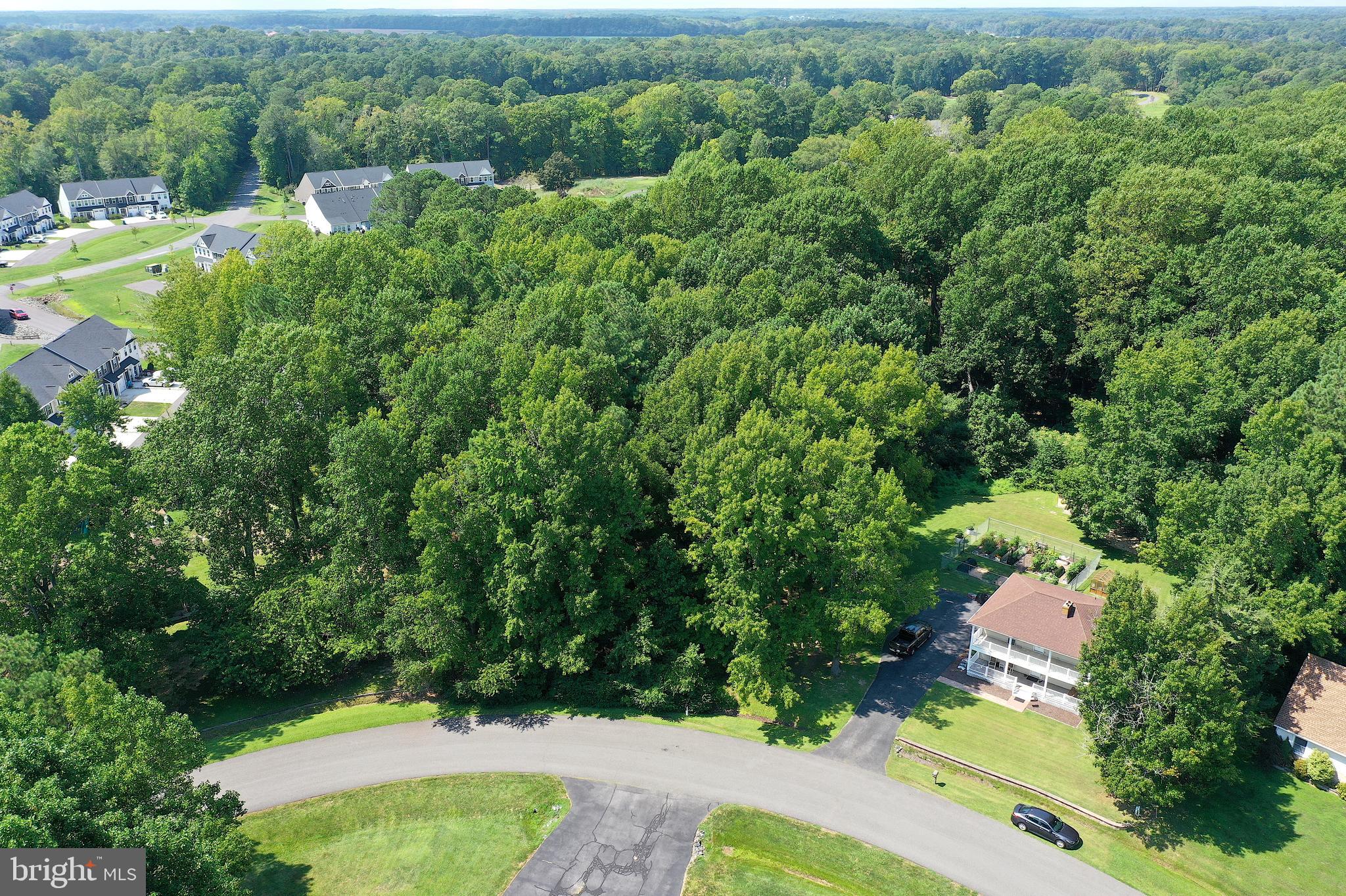 Lot #119 S DOLLY CIRCLE