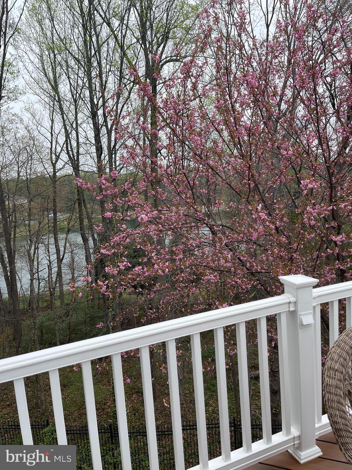 7046 MUNDY POINT COURT