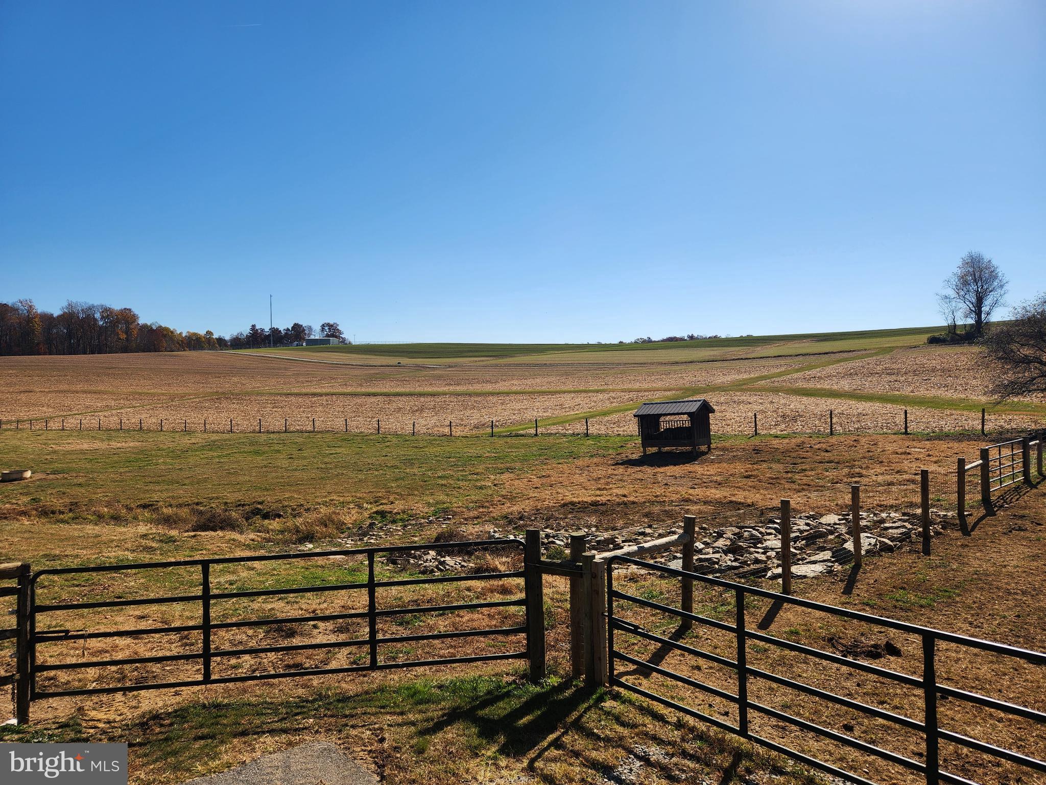 NONE AVAILABLE - Farm