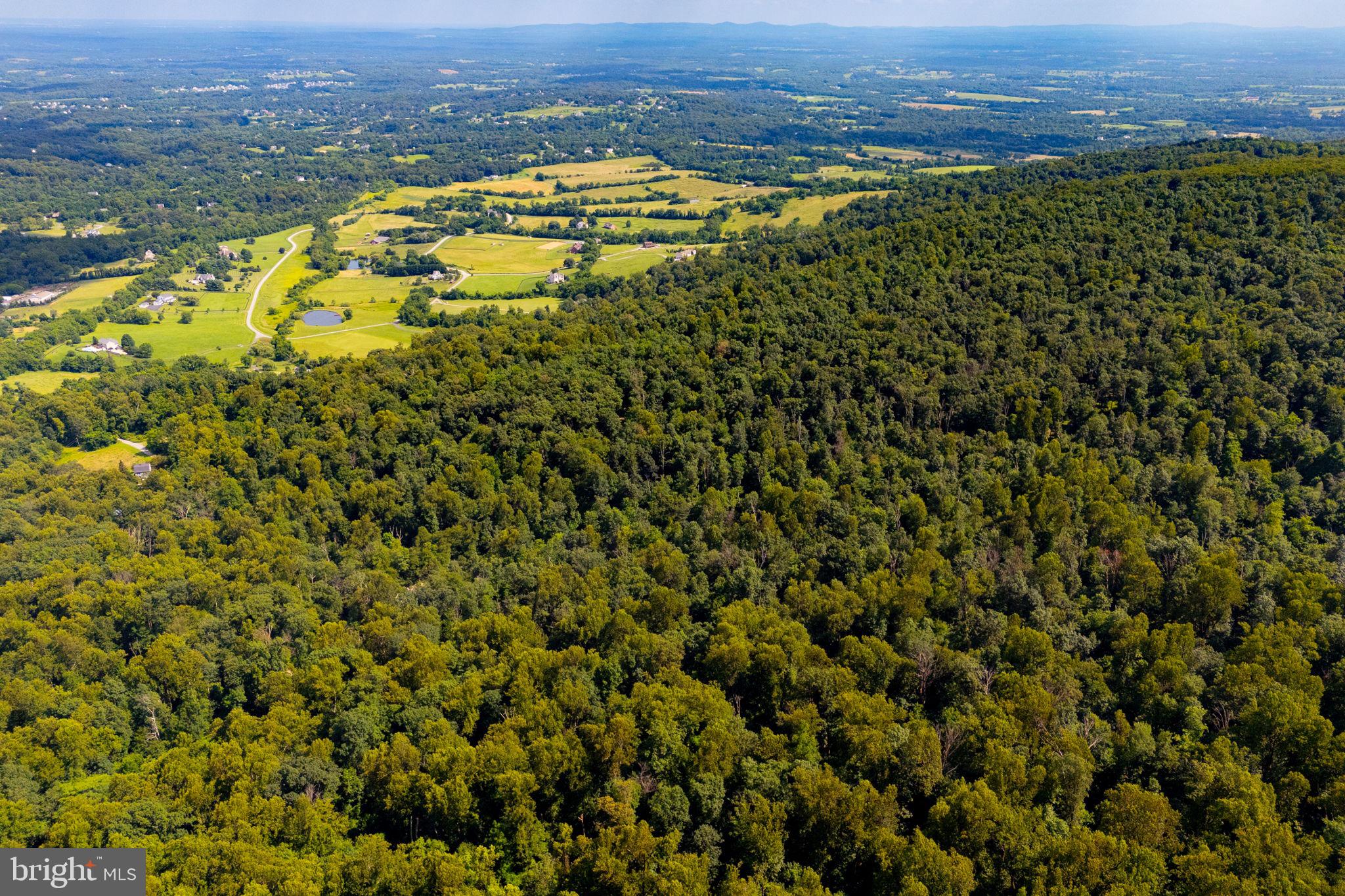 TREE CROPS LANE