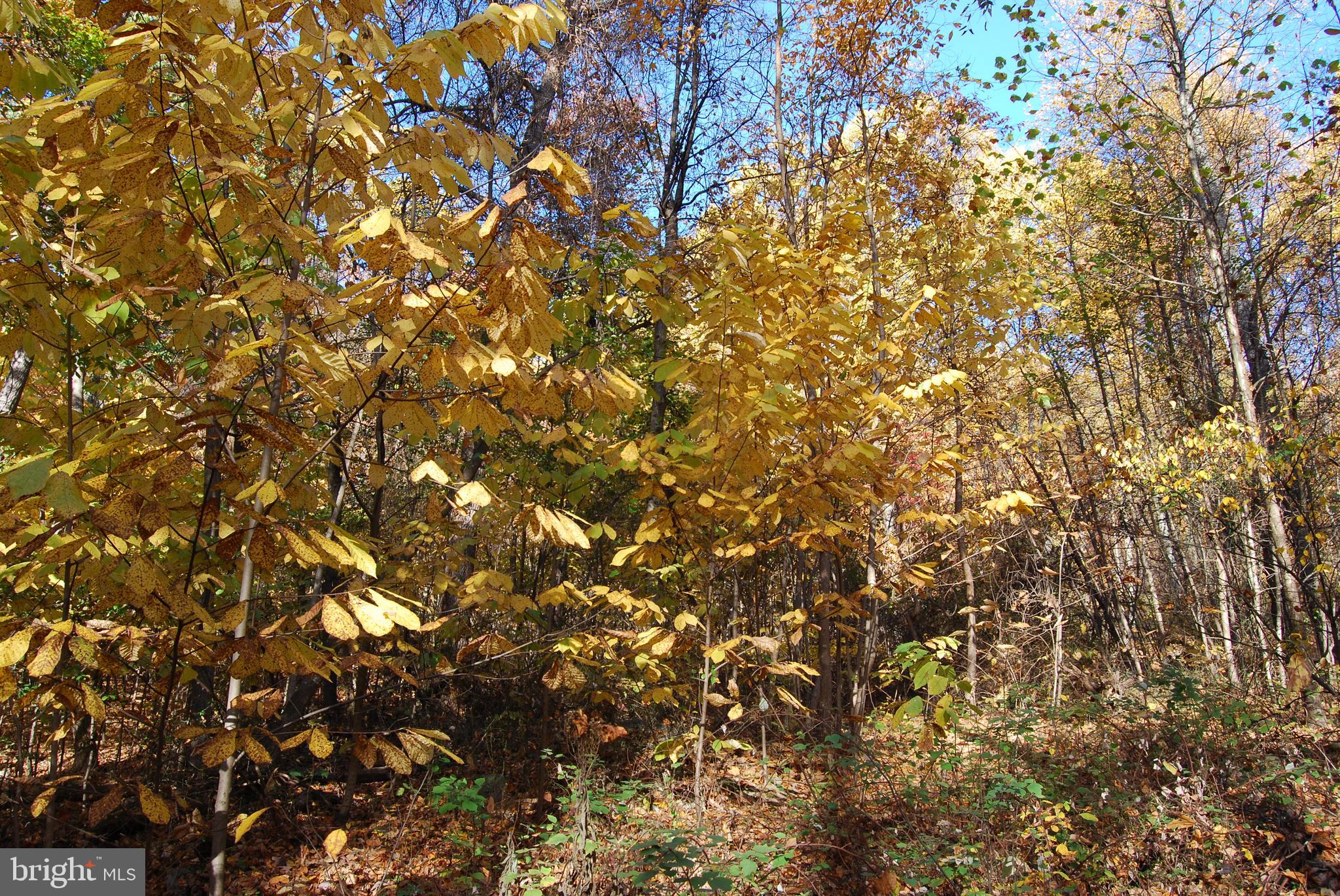 LOT C&D OFF PARISH DRIVE