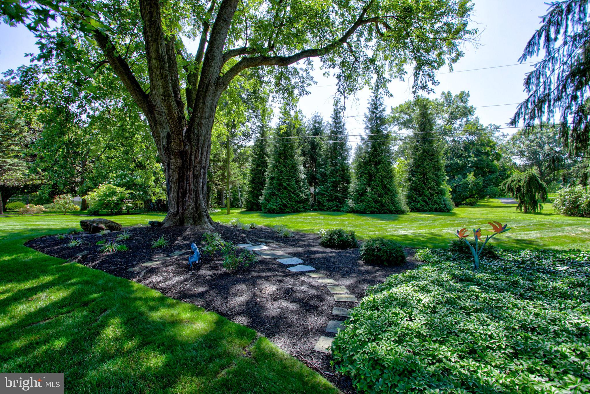 ROCKRIMMON RIDGE - Residential