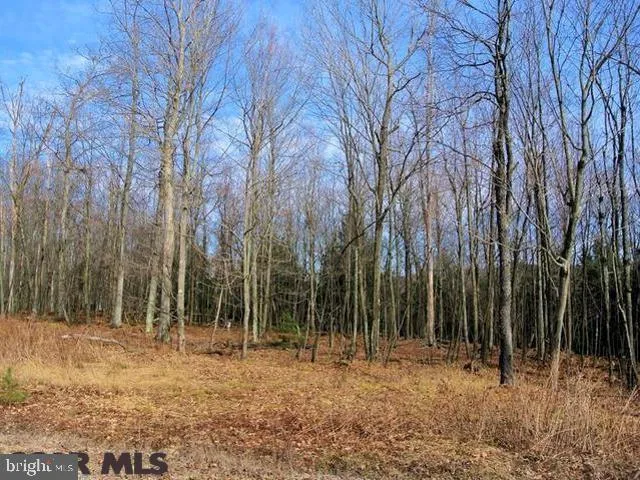 Additional image 2 of ON Teaberry Drive Lot 9, Philipsburg, PA 16866