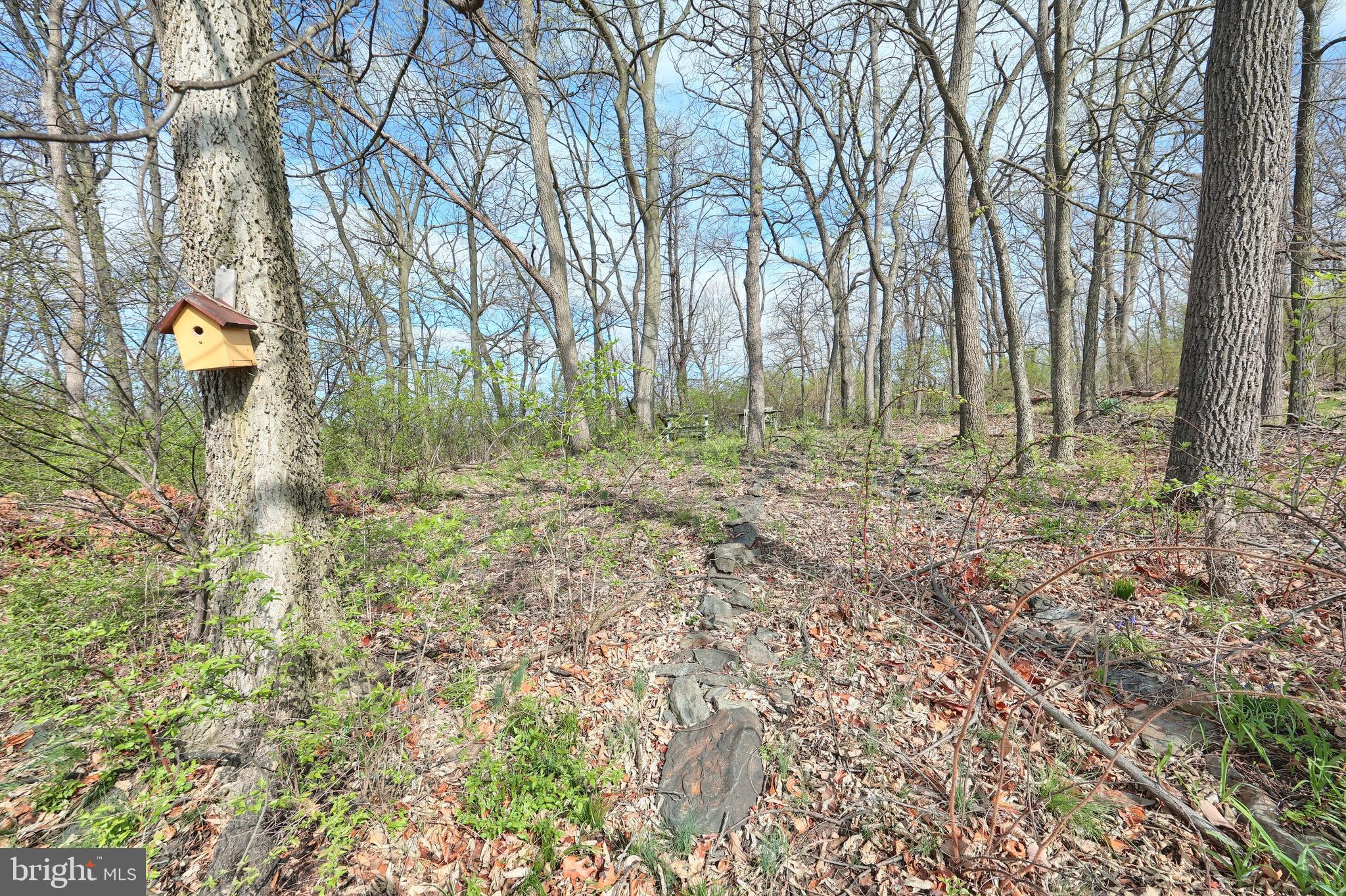 NORTH POINTE - Residential