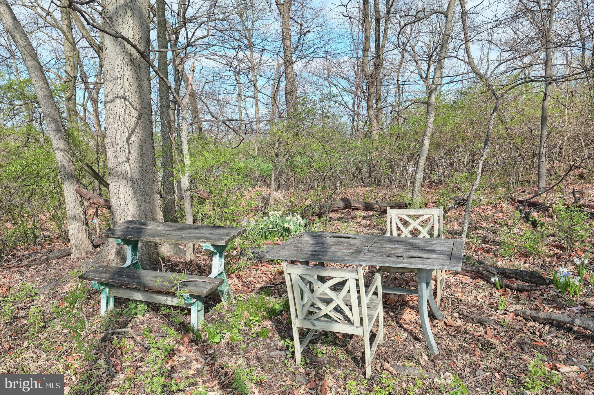 NORTH POINTE - Residential