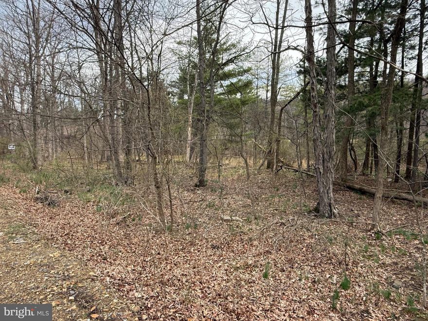 PRIME WATERFRONT LOT IN THE PRESTIGIOUS TIMBERLAKE ESTATES SUBDIVISION. HARD SURFACE ROAD FRONTAGE. FULLY WOODED LEVEL LOT. UNDERGROUND ELECTRIC AND PUBLIC WATER AVAILABLE.
