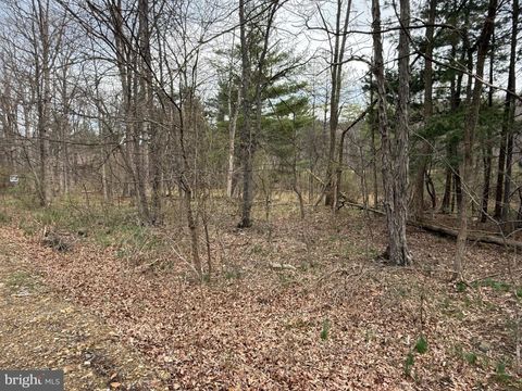 Vacant Land For Sale - Timberlake Estates - Lot 5<br/> NEW CREEK, WV 26743