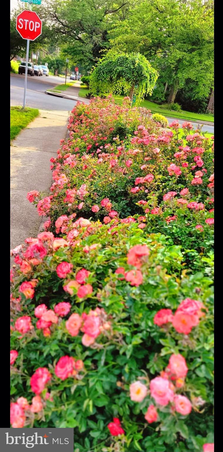 LANSDOWNE - Residential