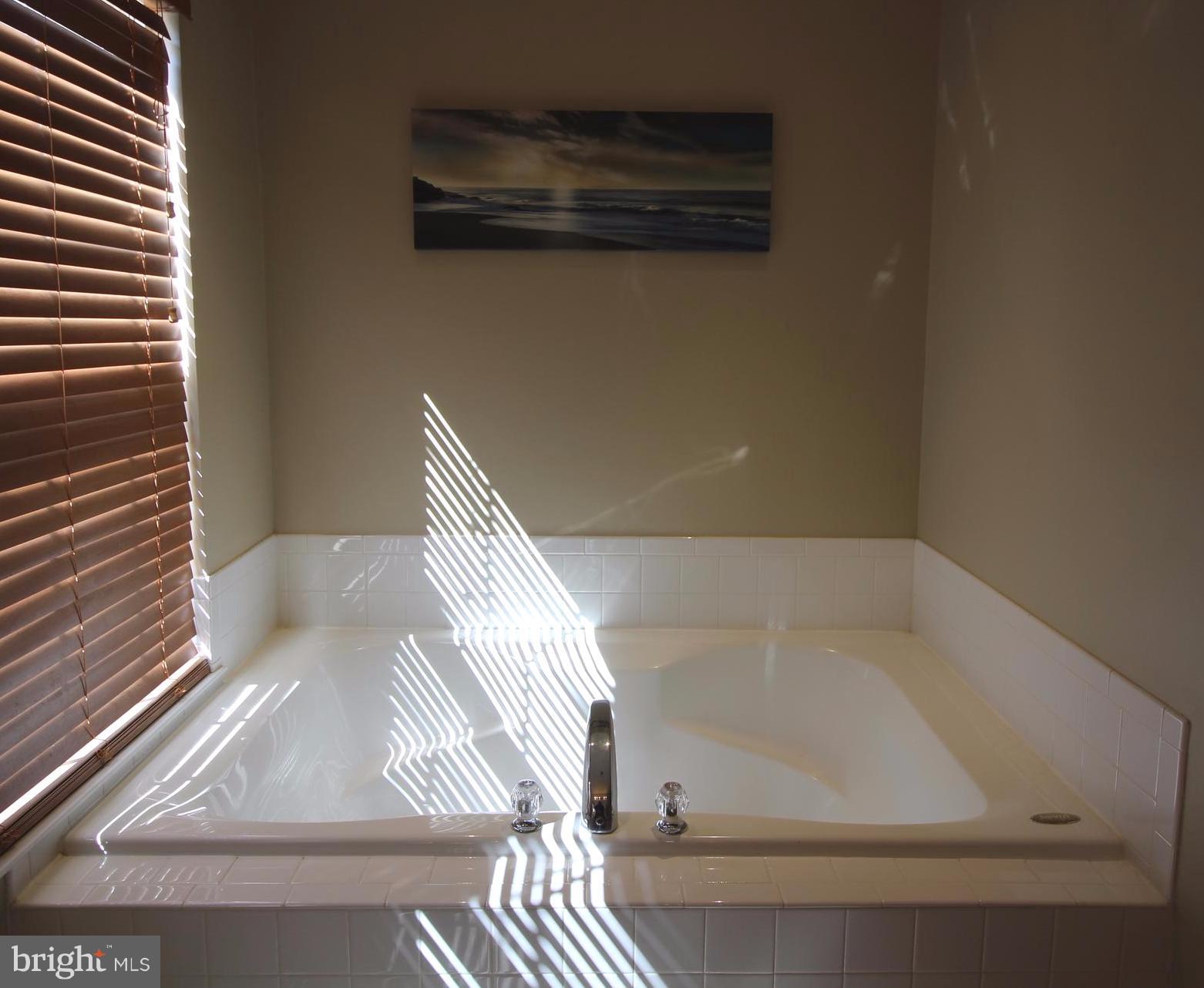 MEADOWS OF CULPEPER - Residential