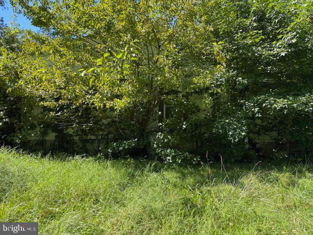 38.6 +/- Acres WHEATLEYS POND ROAD